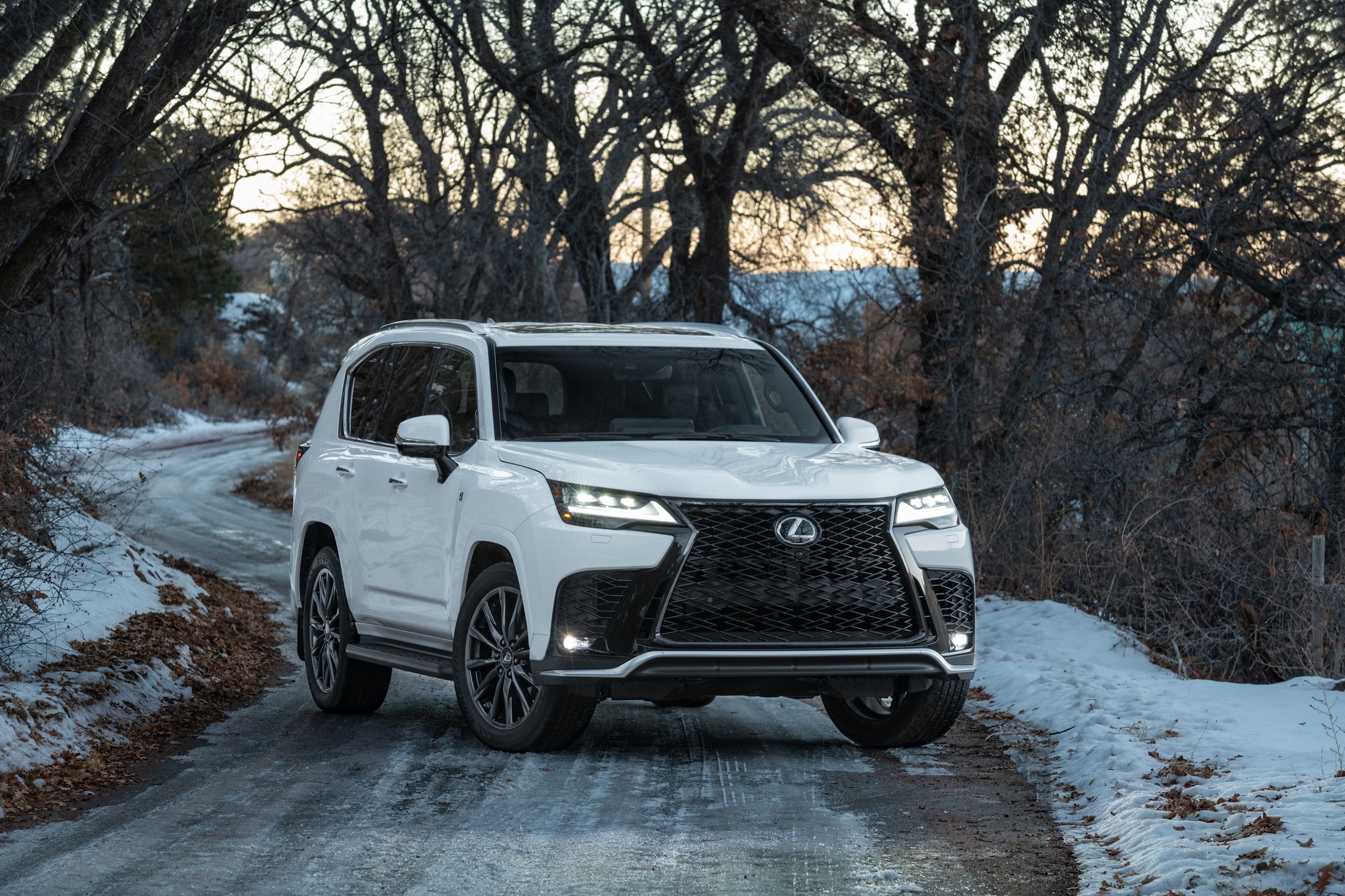 Large SUV Comparison: 2025 Infiniti QX80 Vs. 2024 Lexus LX 600