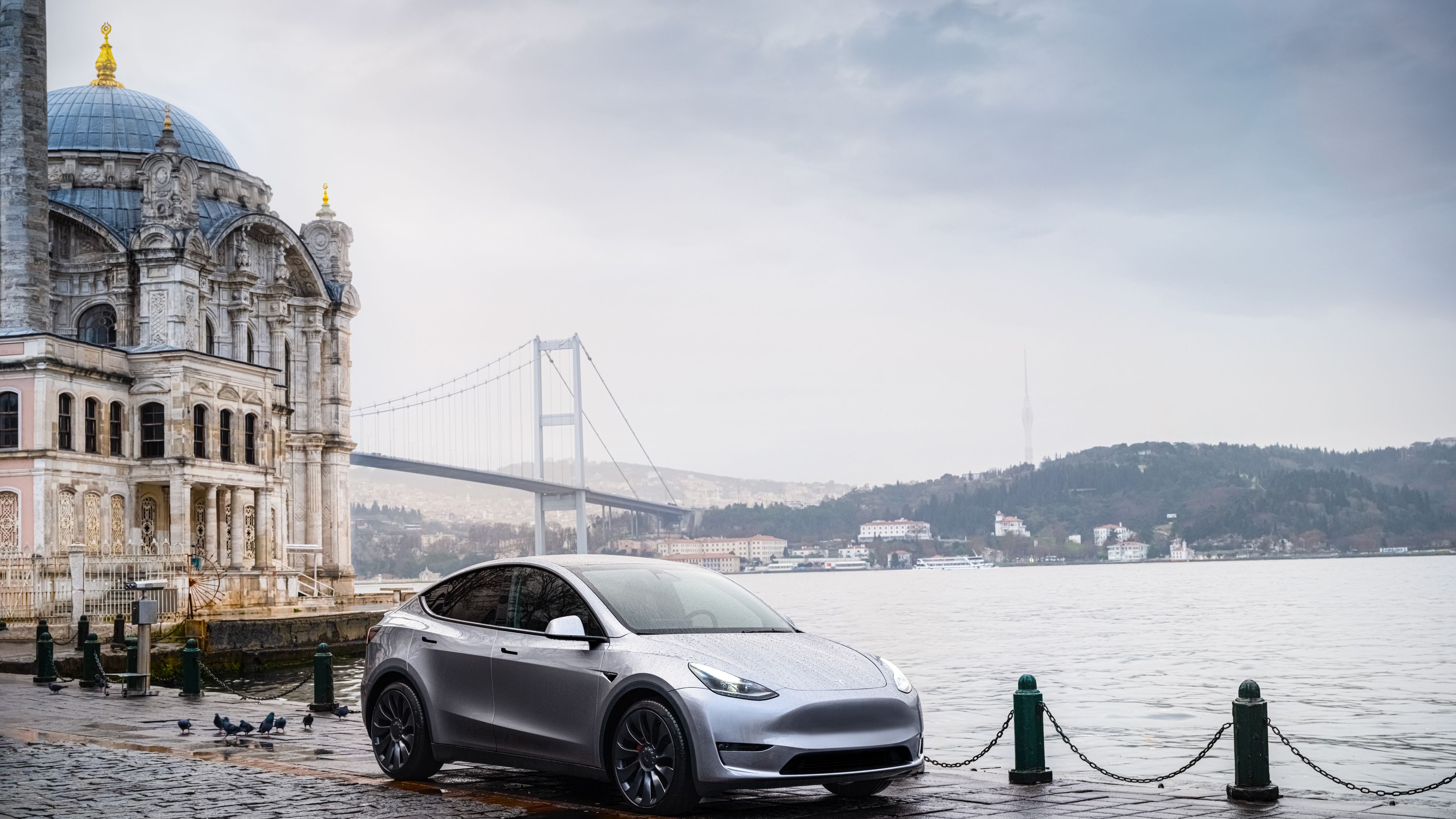 Silver Tesla Model Y alongside a lake