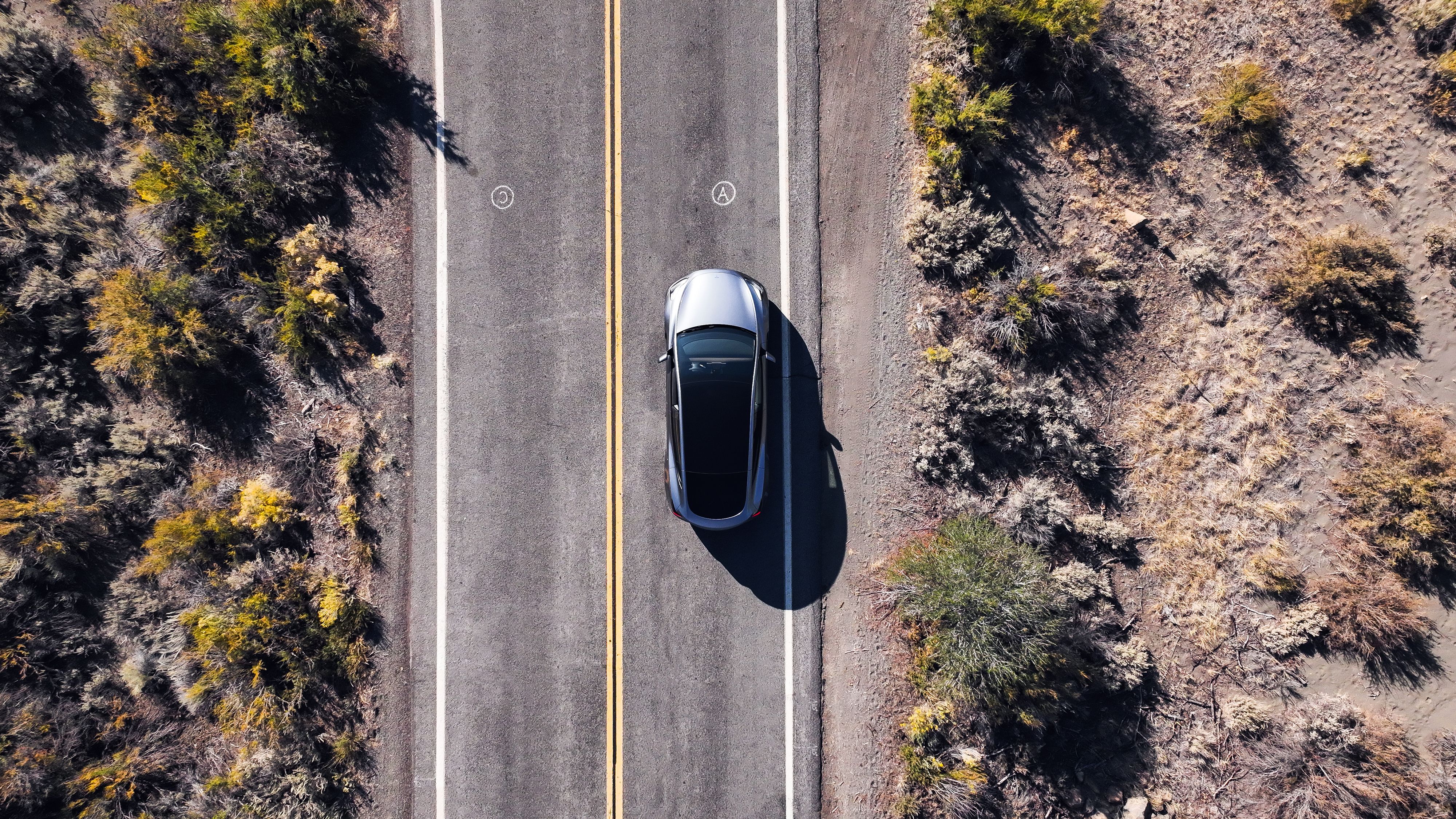 Bird's eye view of a silver Tesla Model Y