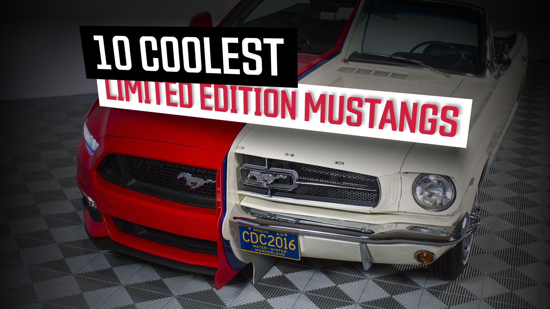 10-Coolest-Limited-Edition-Mustangs
