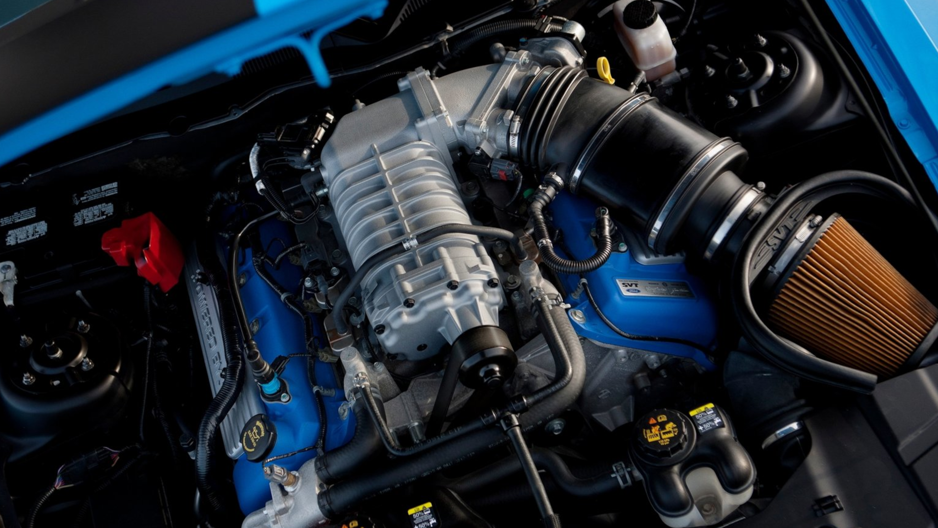 The 5 Coolest Shelby Ford Mustangs Ever Made