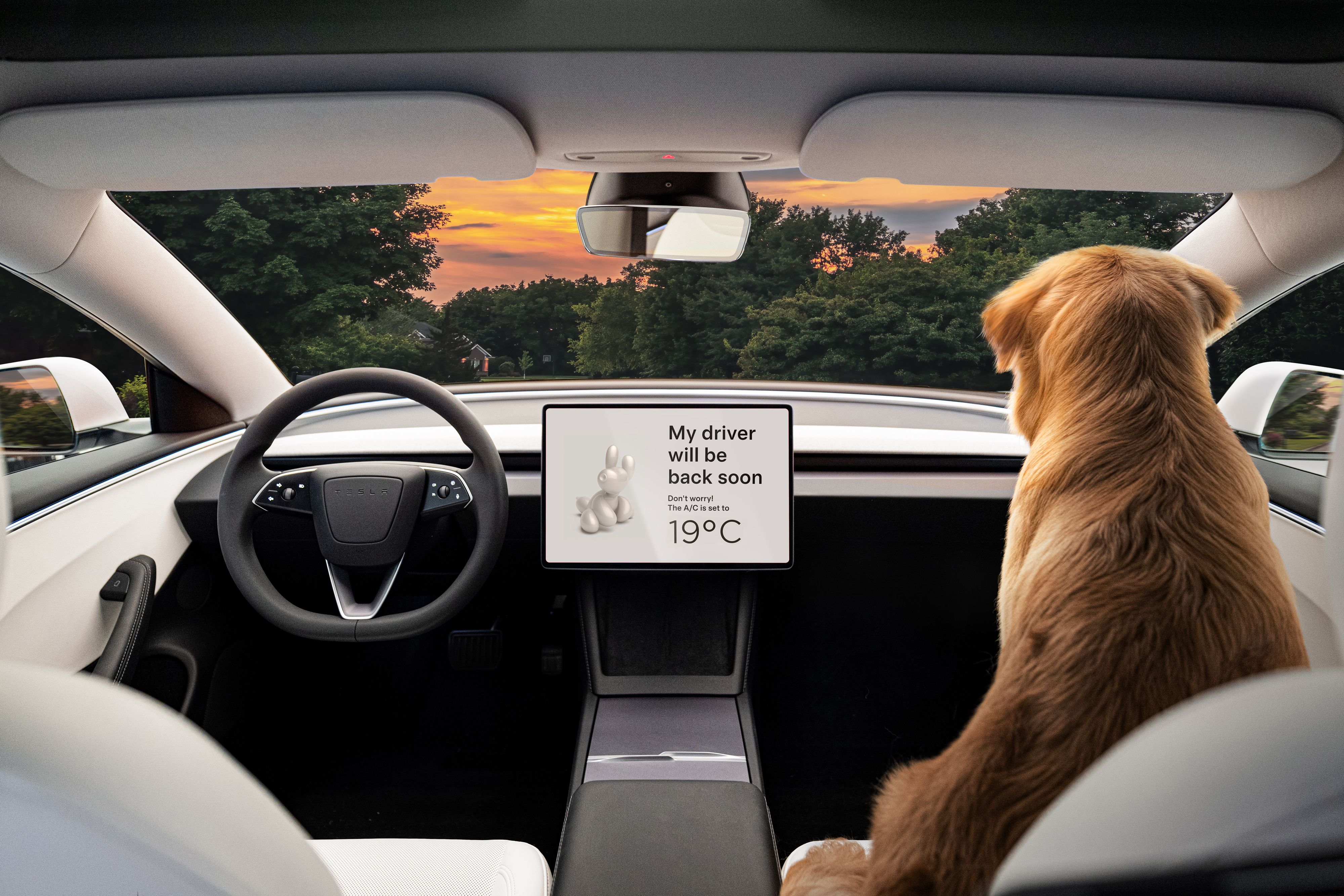 Exploring Tesla Dog Mode