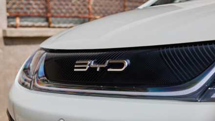 BYD Dolphin Logo