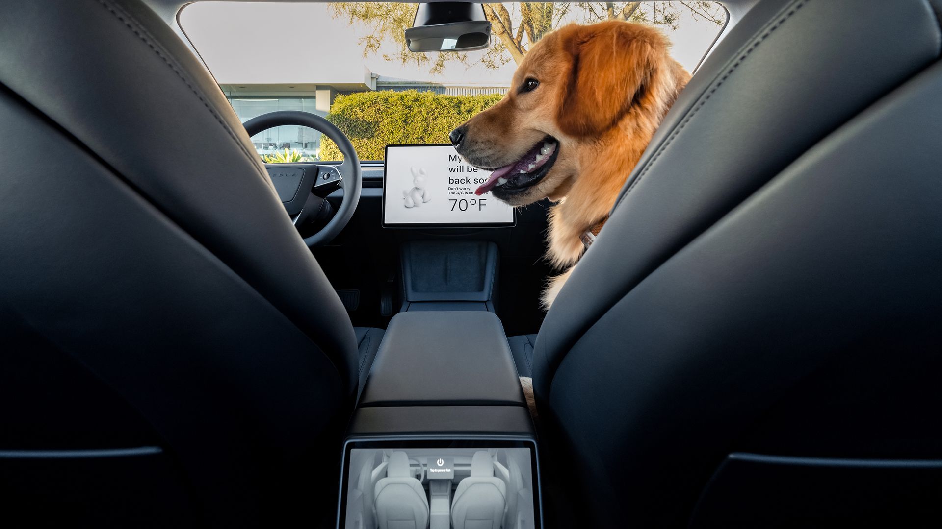 Do Cars Have Dog Mode: Essential Safety Feature Explained