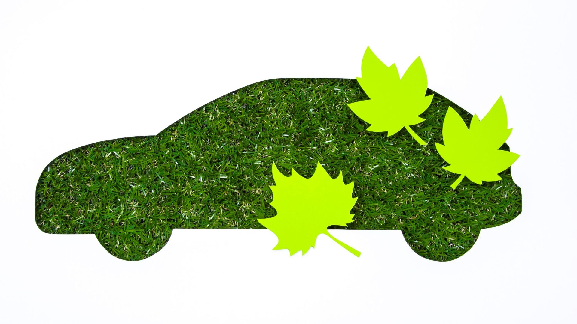 eco friendly car made with foliage