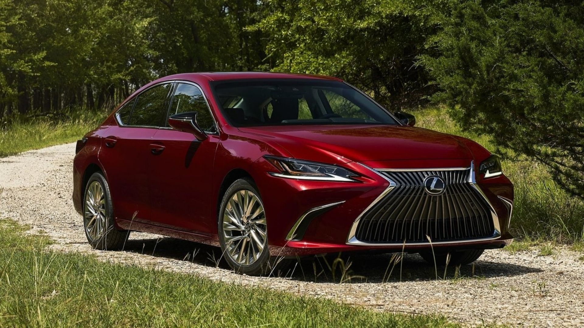 2024 Lexus ES Front Angle