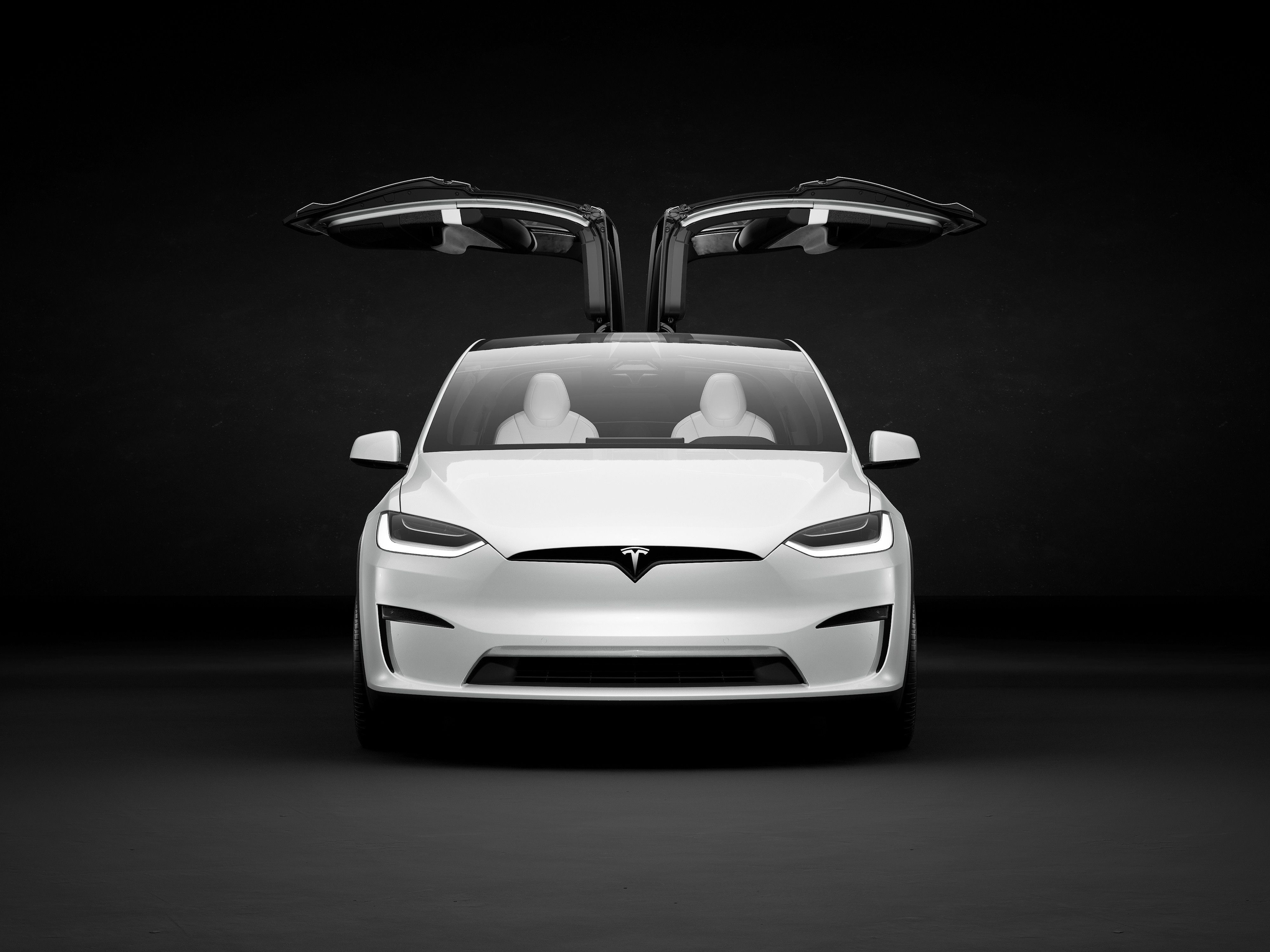 Tesla Model X front view