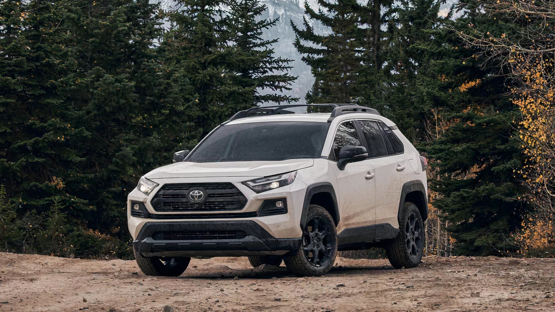 2025 Toyota RAV4 Hybrid
