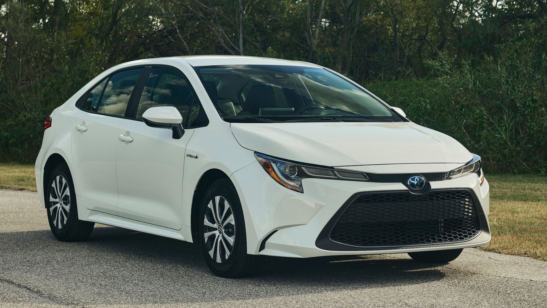 toyota corolla hybrid front quarter white