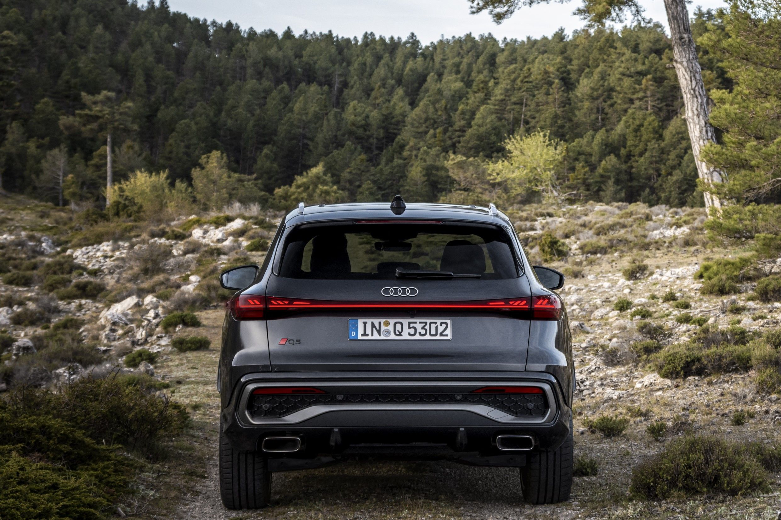 2025 Audi Q5 Pricing, Photos & Specs