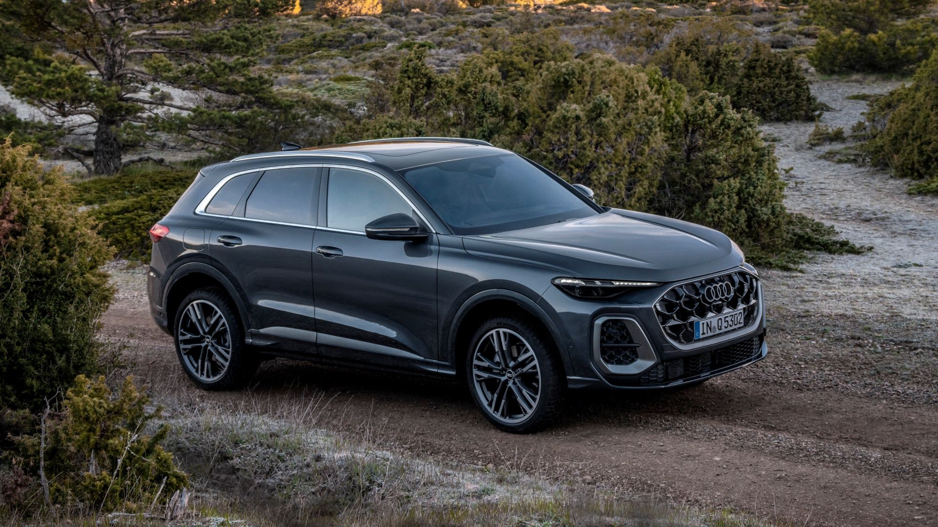 2025 Audi Q5 Specs and Trims CarBuzz