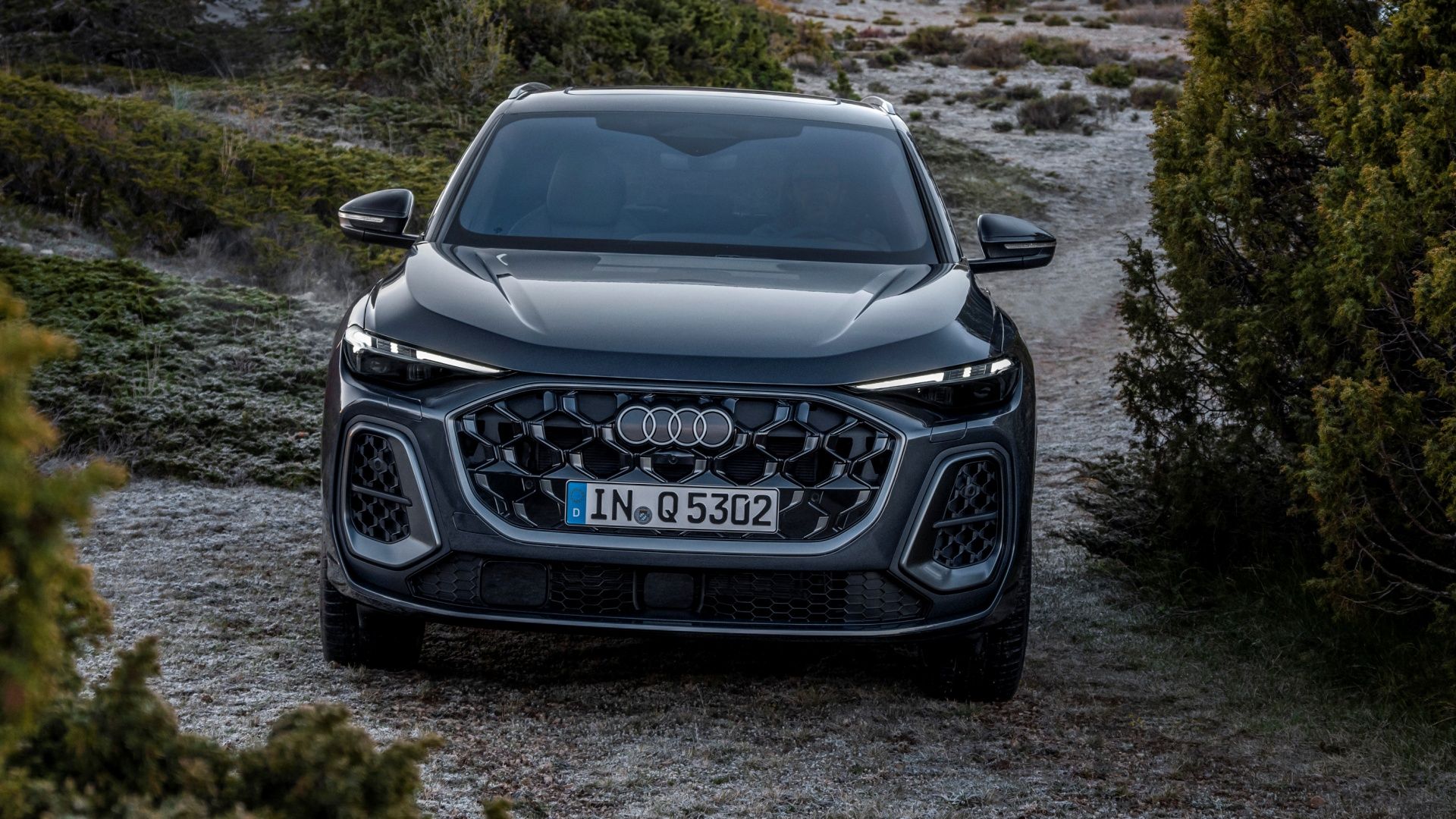 The front of the 2025 Audi Q5