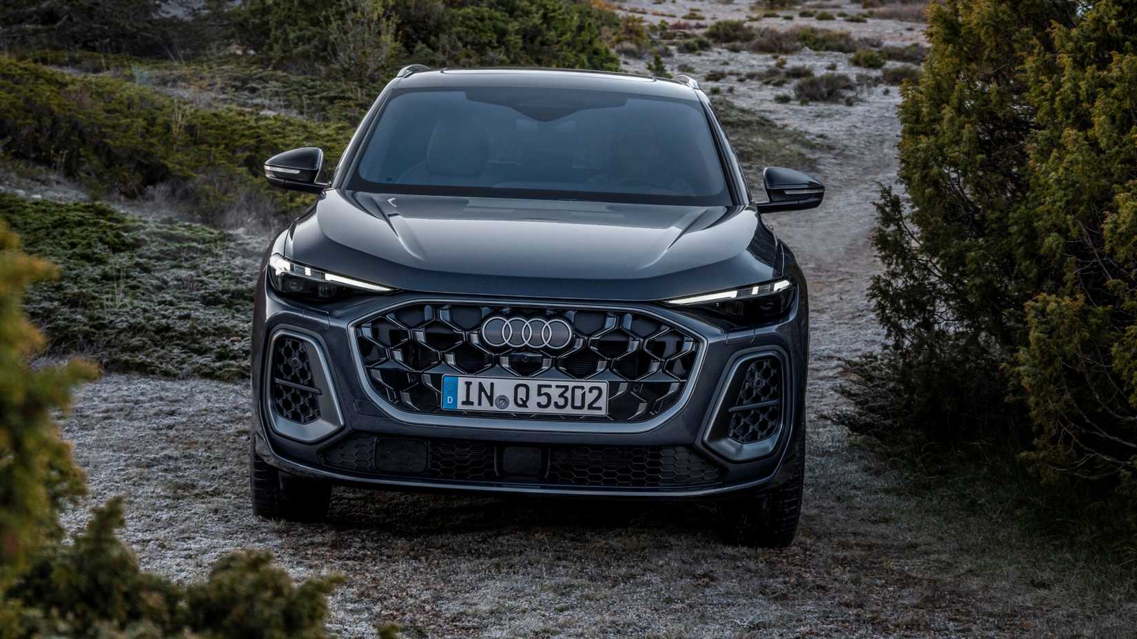 2025 Audi Q5 Lights The Way With Something Special Just For The US