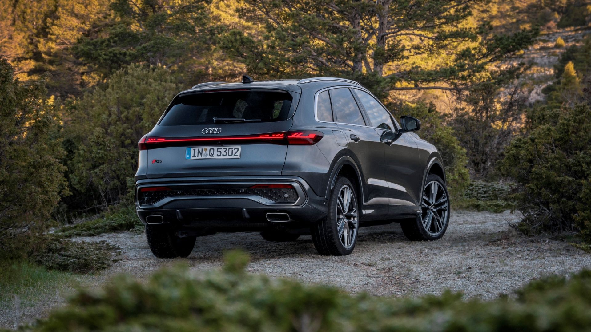 2025 Audi Q5 Exterior Photos