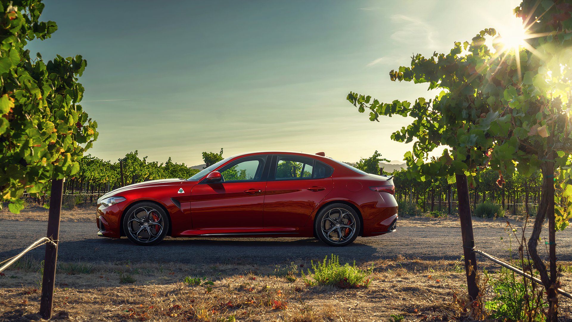 alfa-romeo-sedan profile 