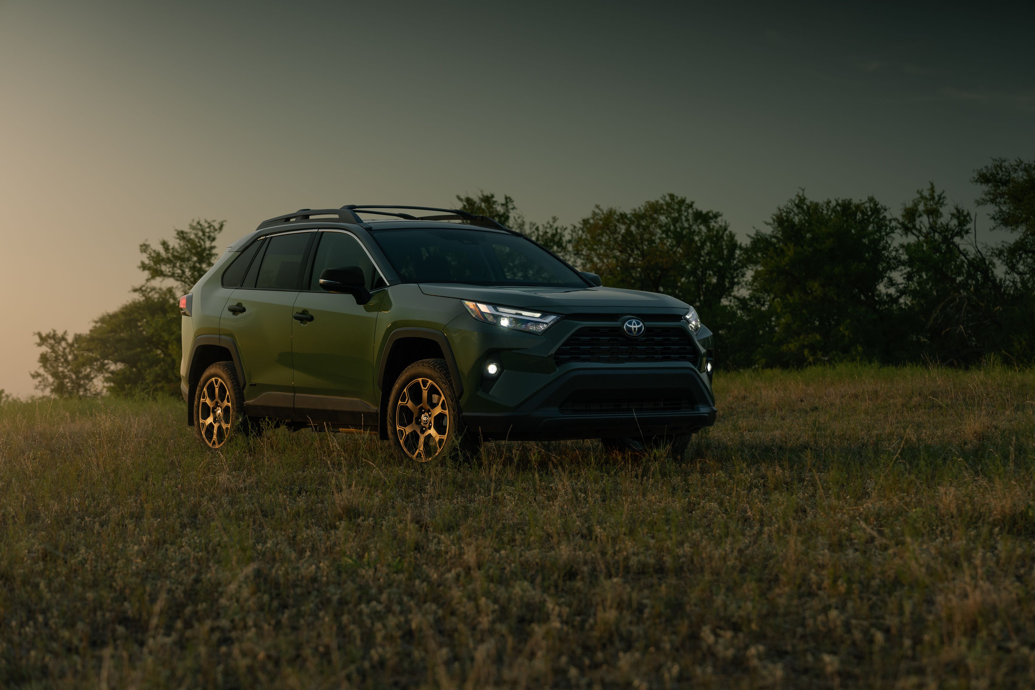 2024 Toyota RAV4 Hybrid, parked in field