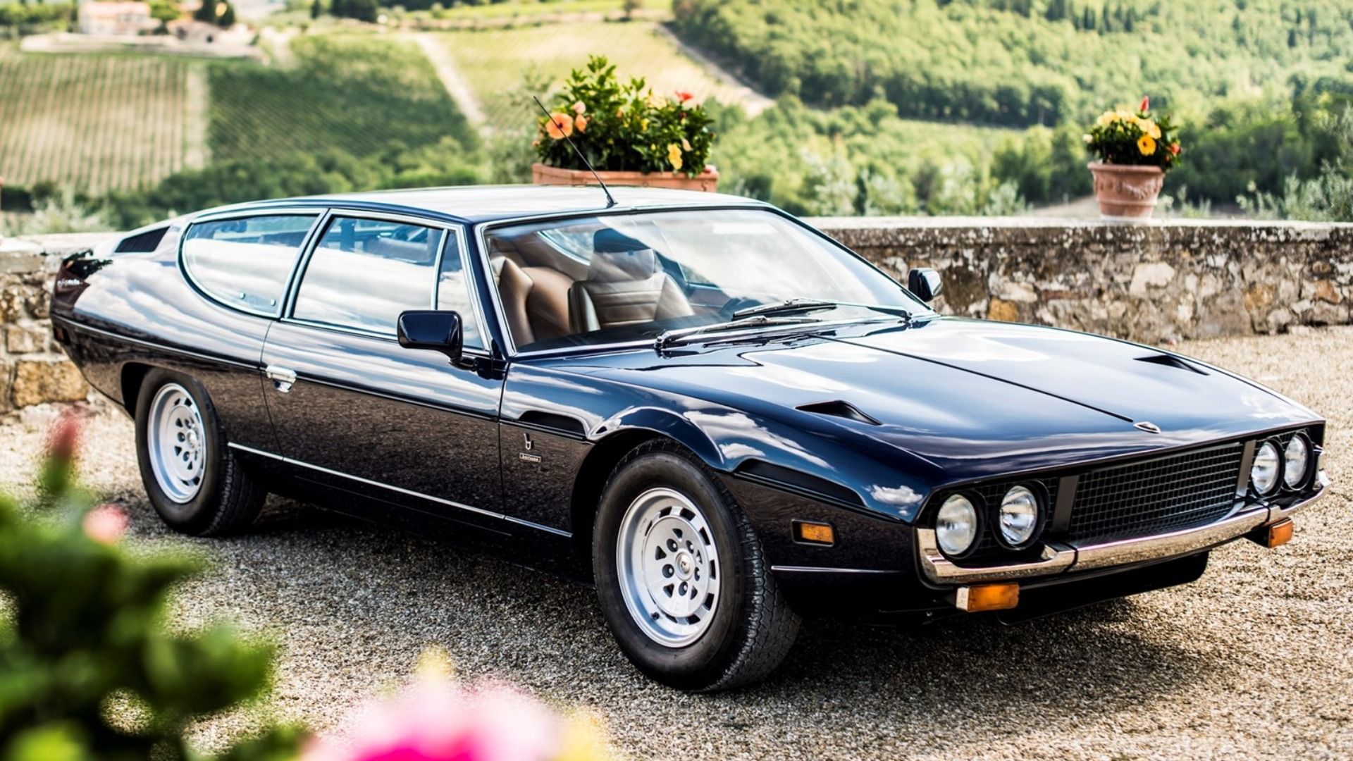 Lamborghini Espada Side View