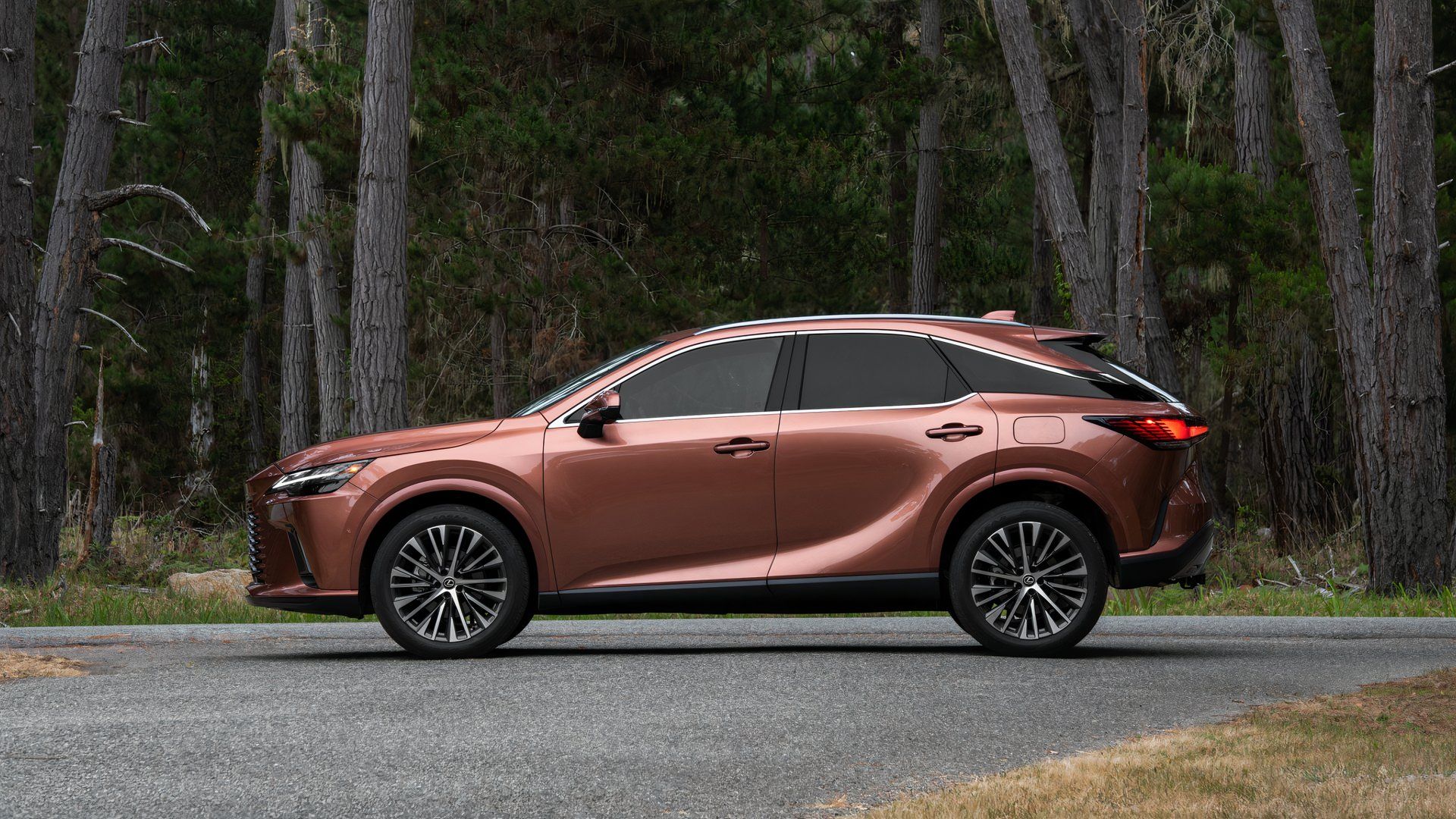 Reliability Showdown: Infiniti Vs Lexus