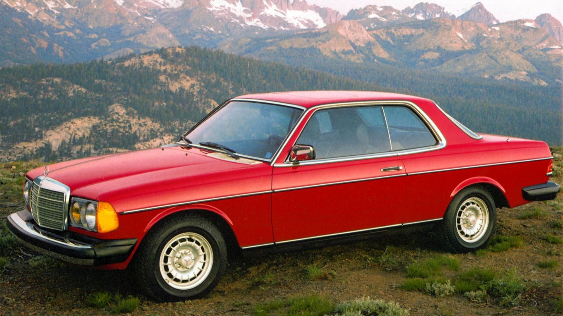 Old Mercedes Diesel Reliability