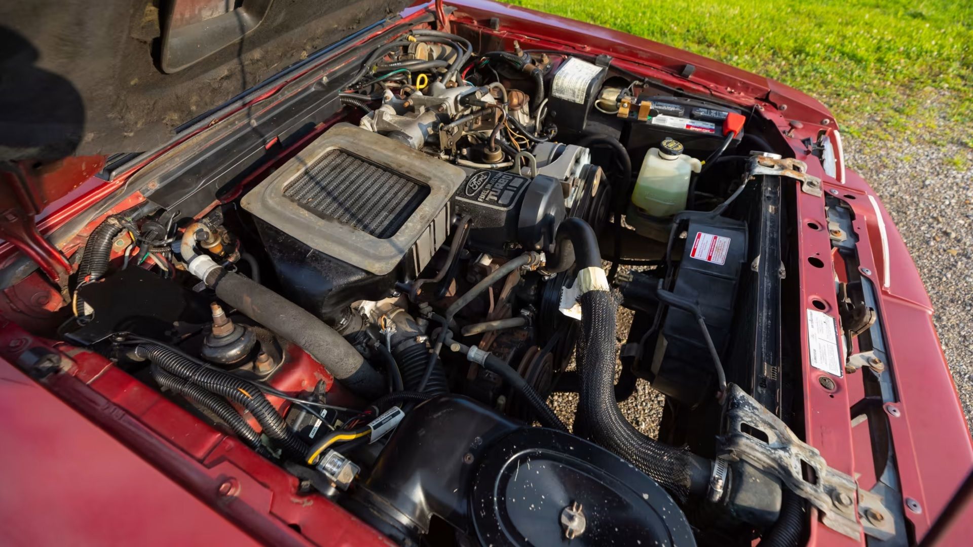 Here's Why One Of Ford's Most Famous Performance Brands Disappeared