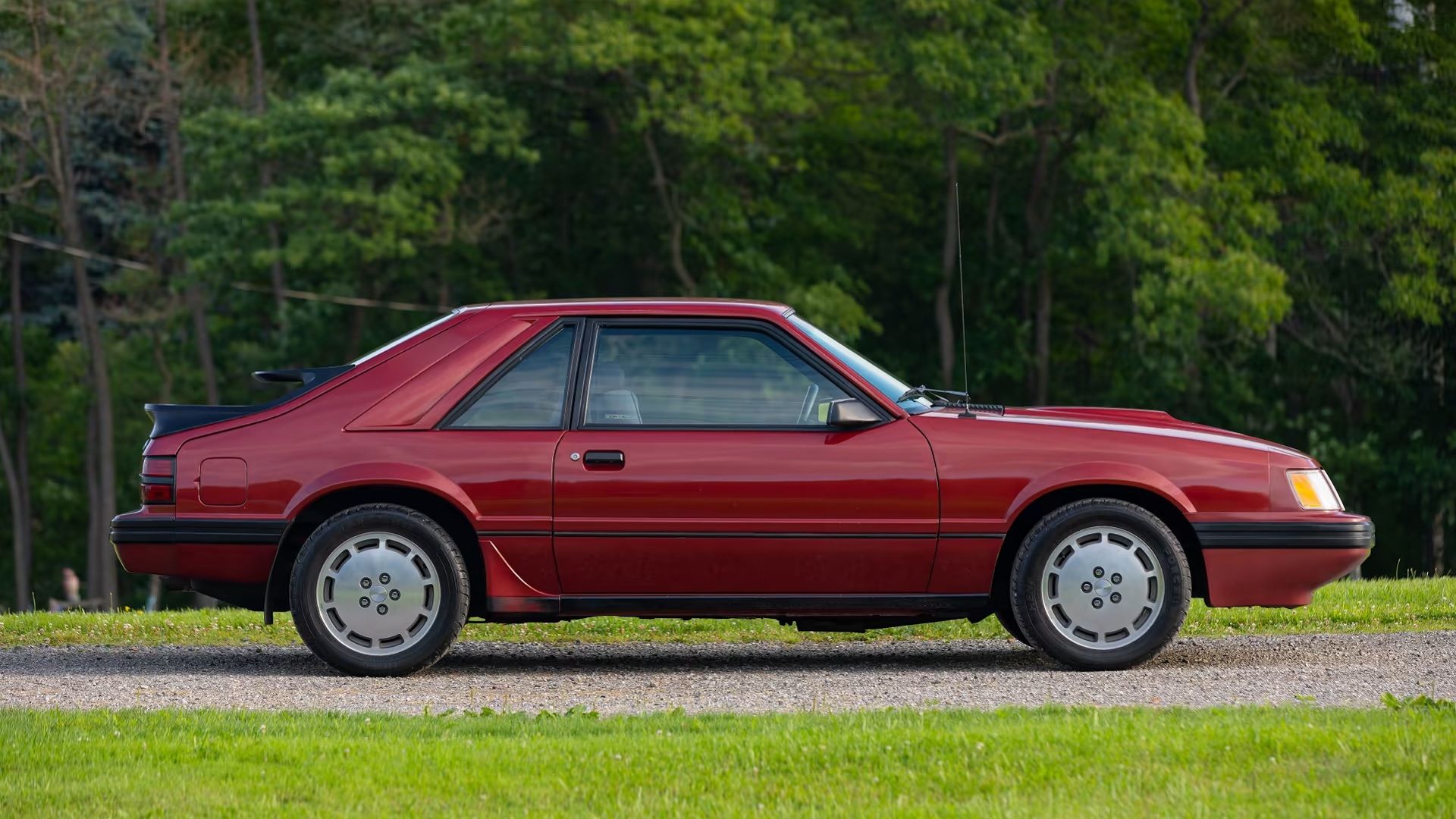Here's Why One Of Ford's Most Famous Performance Brands Disappeared
