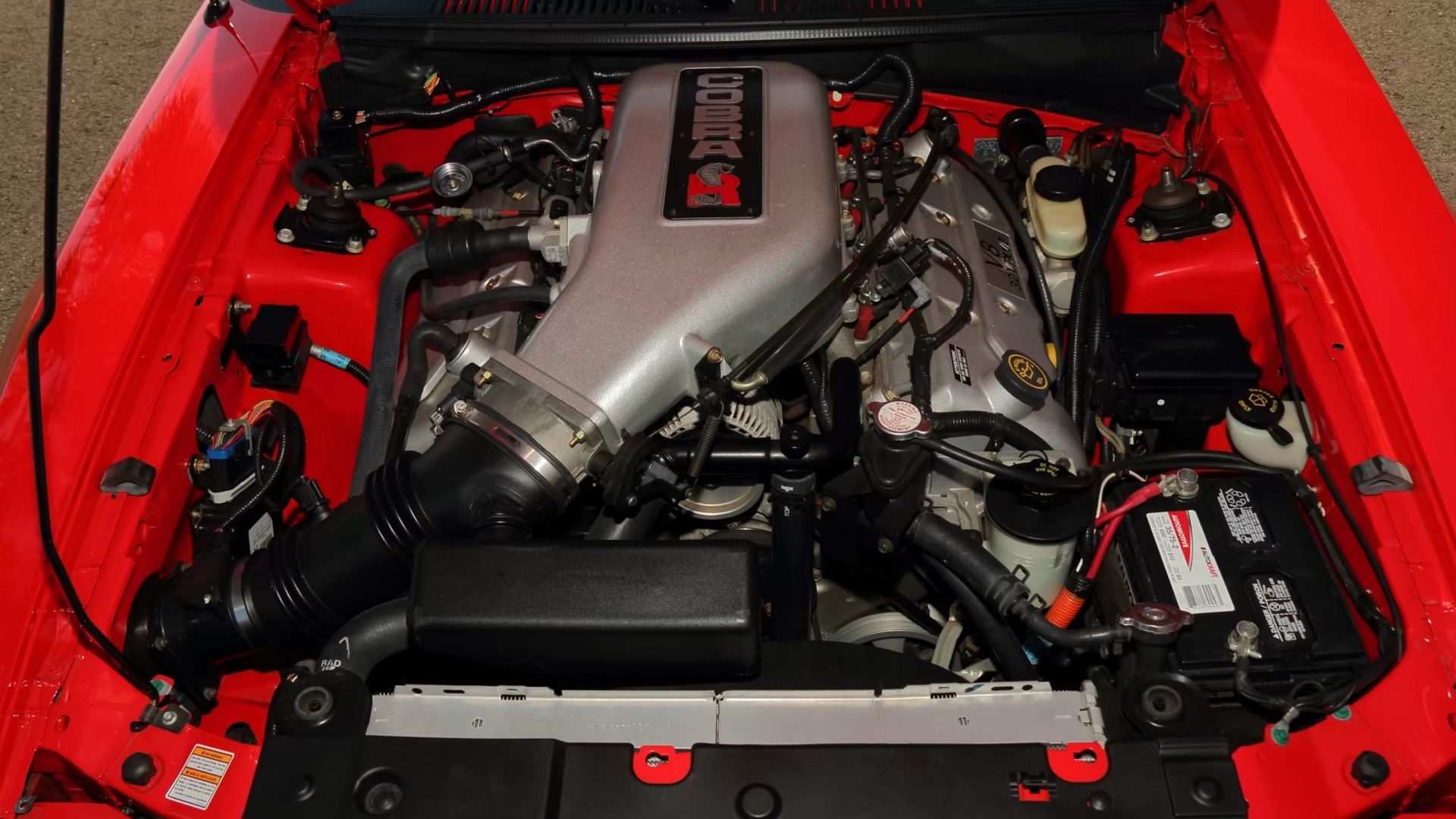Here's Why One Of Ford's Most Famous Performance Brands Disappeared
