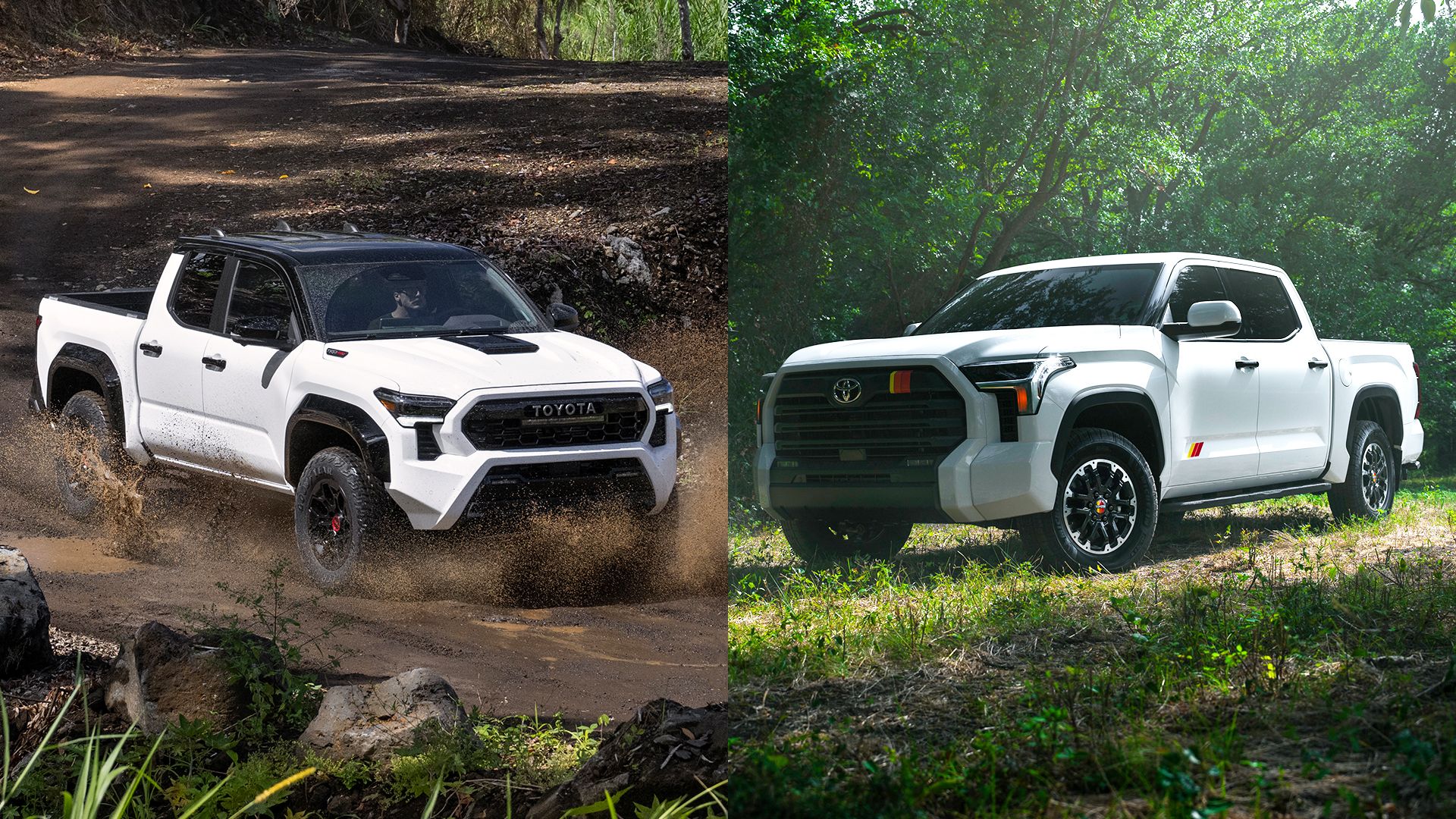 Toyota Tacoma and Tundra in white