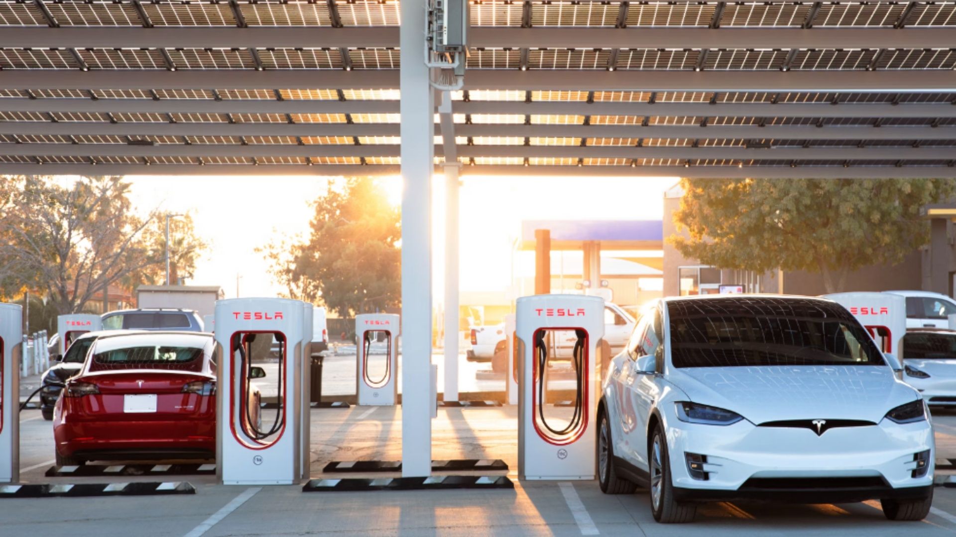 Teslas at a charging station