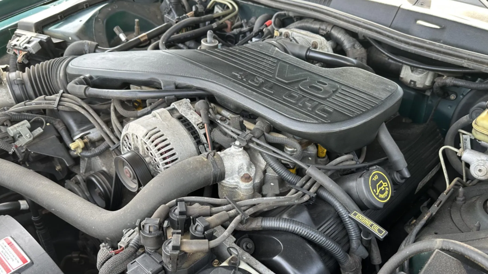Amazing 1995 Ford 58 Engine Pictures