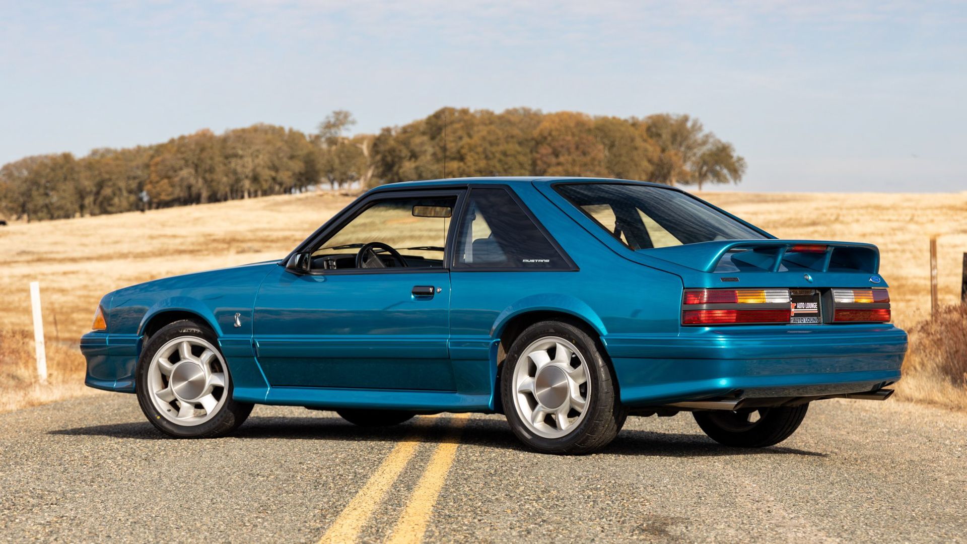 The Best Ford SVT Cars Ever Made