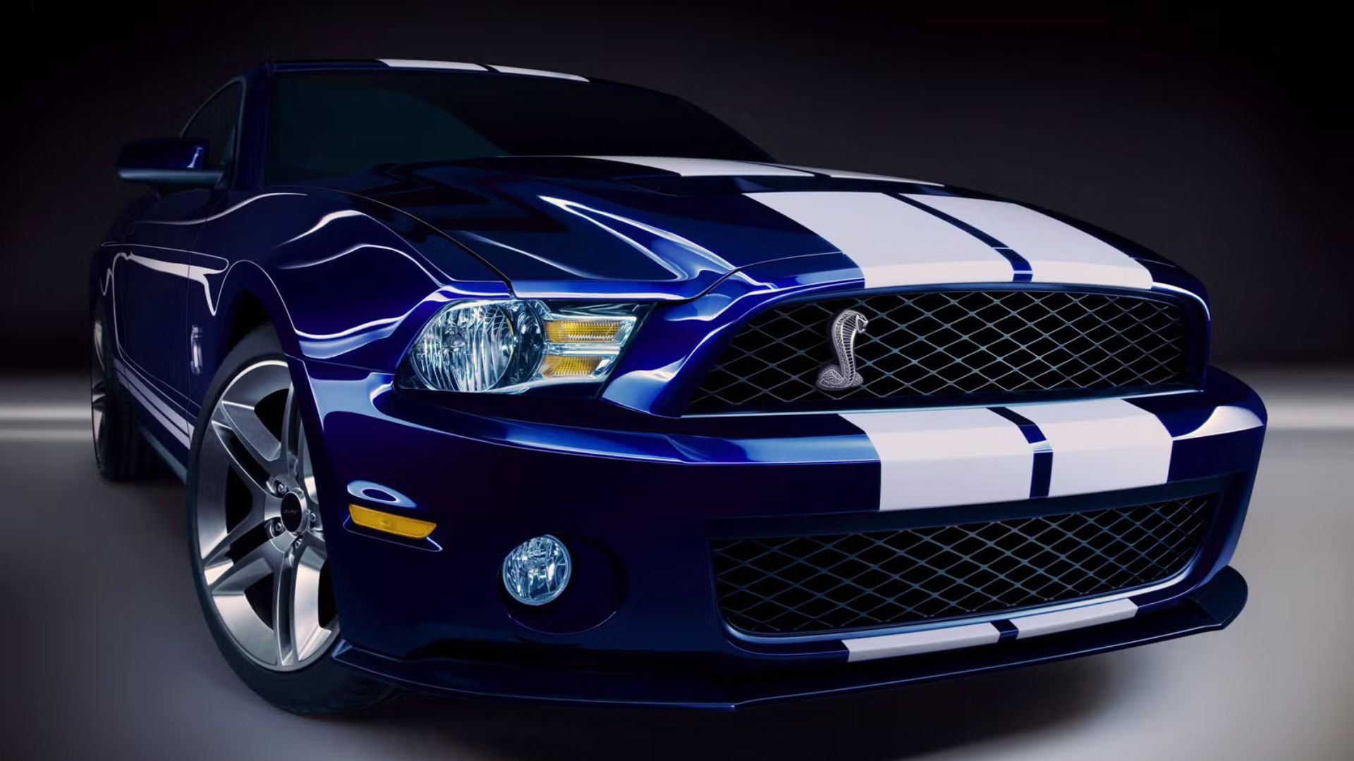 중고 포드 머스탱 셸비 GT500은 저렴하고, 믿을 만하며, 빠릅니다.
