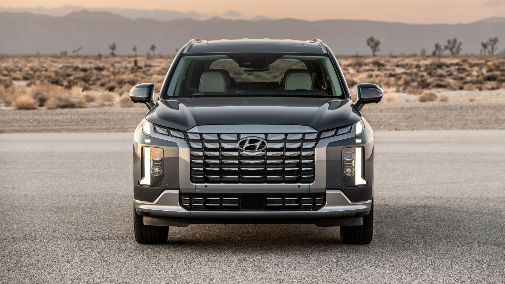 2025 Hyundai Palisade Images: Interior And Exterior Gallery