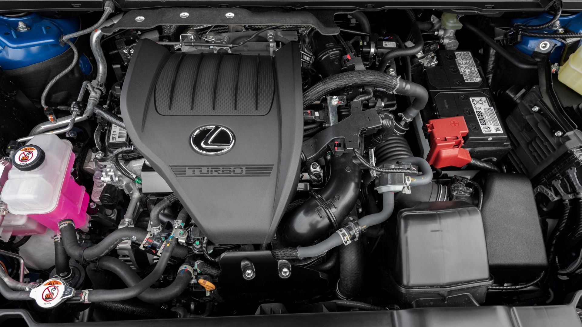 2025 Lexus RX Pricing, Photos & Specs