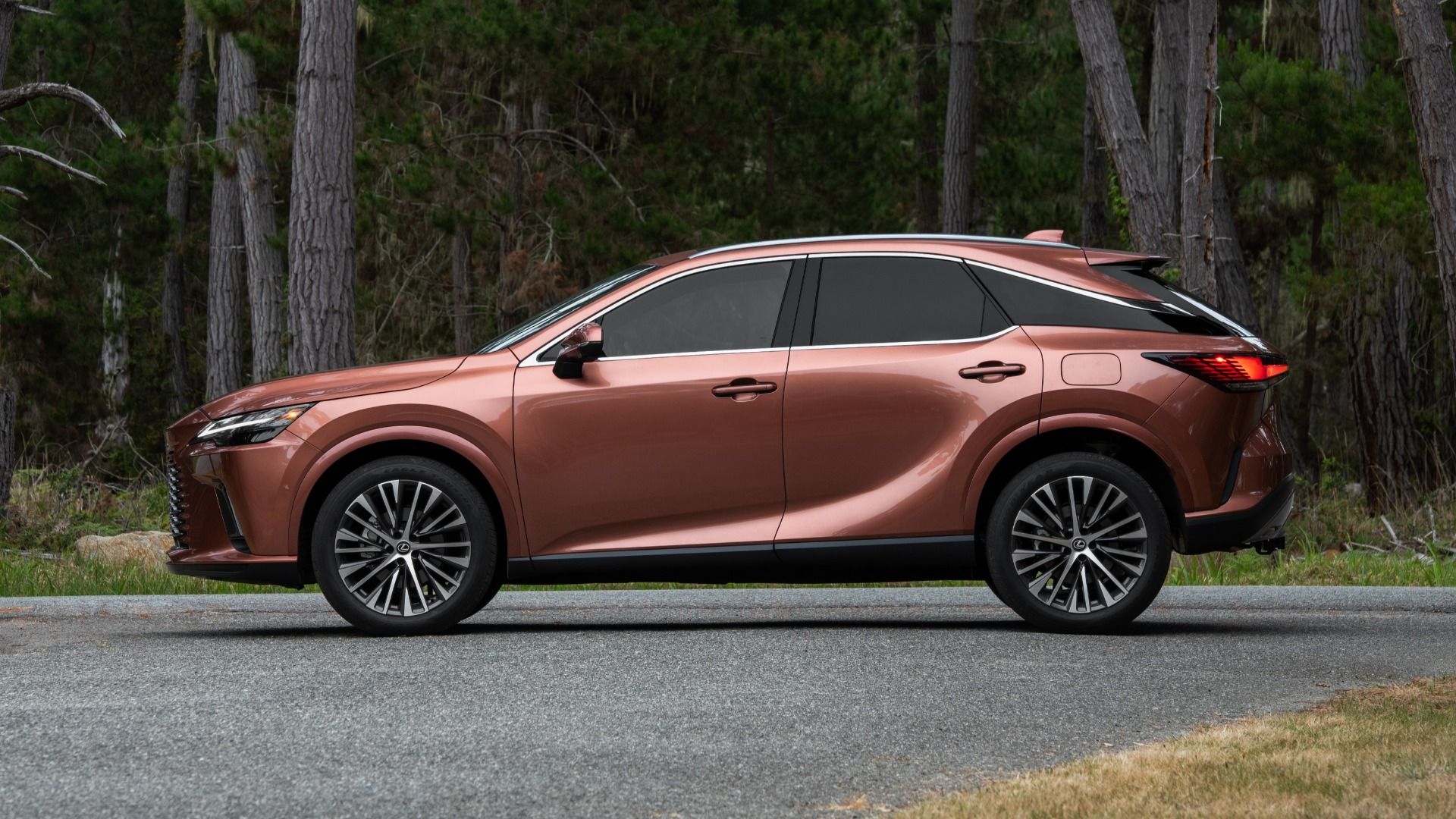 2025 Lexus RX Pricing, Photos & Specs