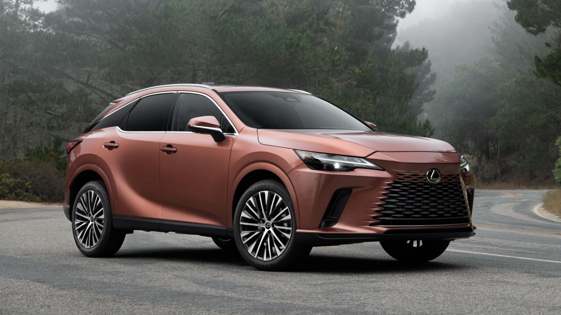 2025 Lexus RX Pricing, Photos & Specs