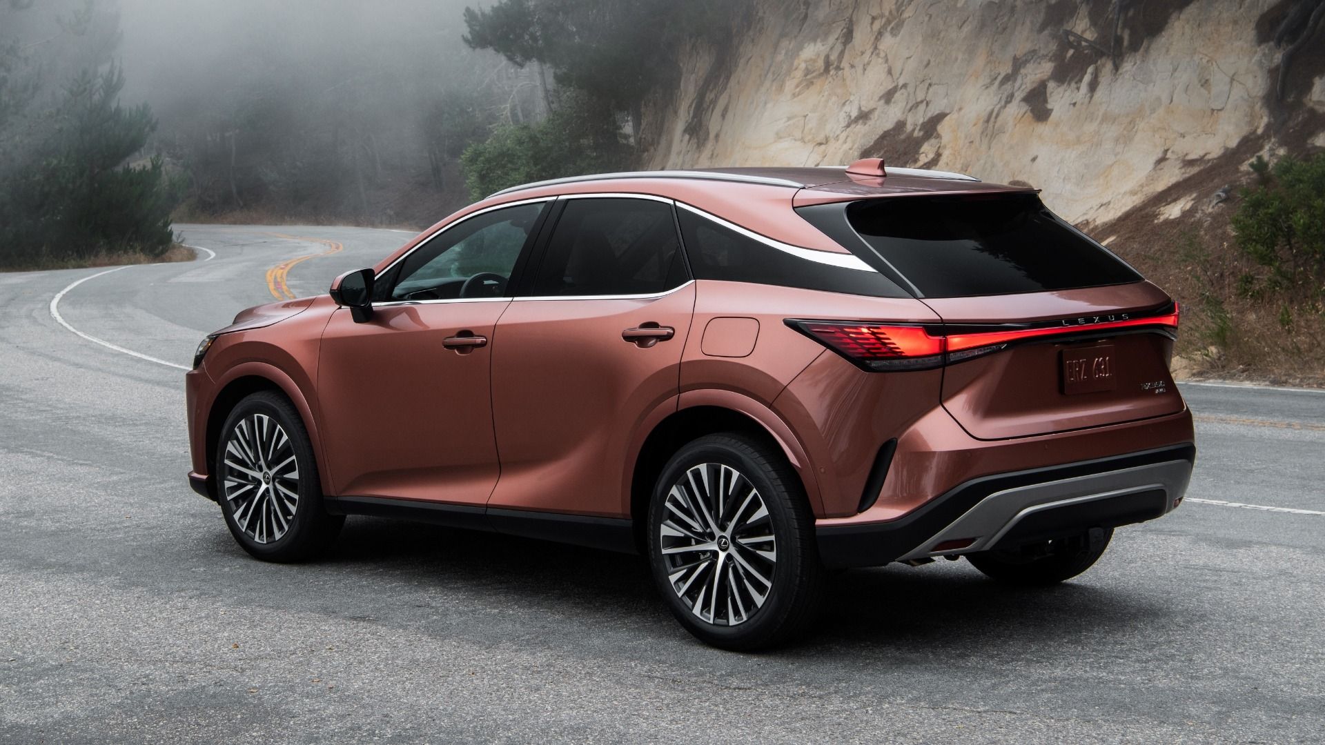2025 Lexus RX Pricing, Photos & Specs