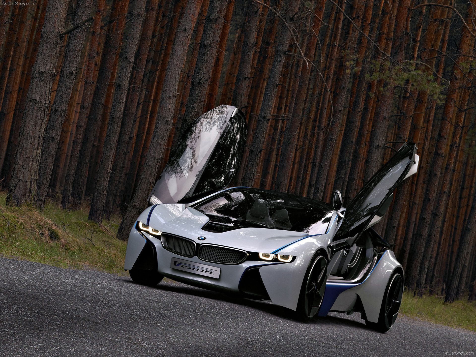 2009 BMW EfficientDynamics Concept Doors Up Front Angle