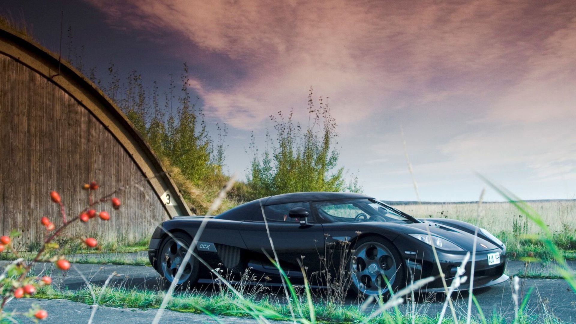 2009 Koenigsegg CCX Pricing, Photos & Specs