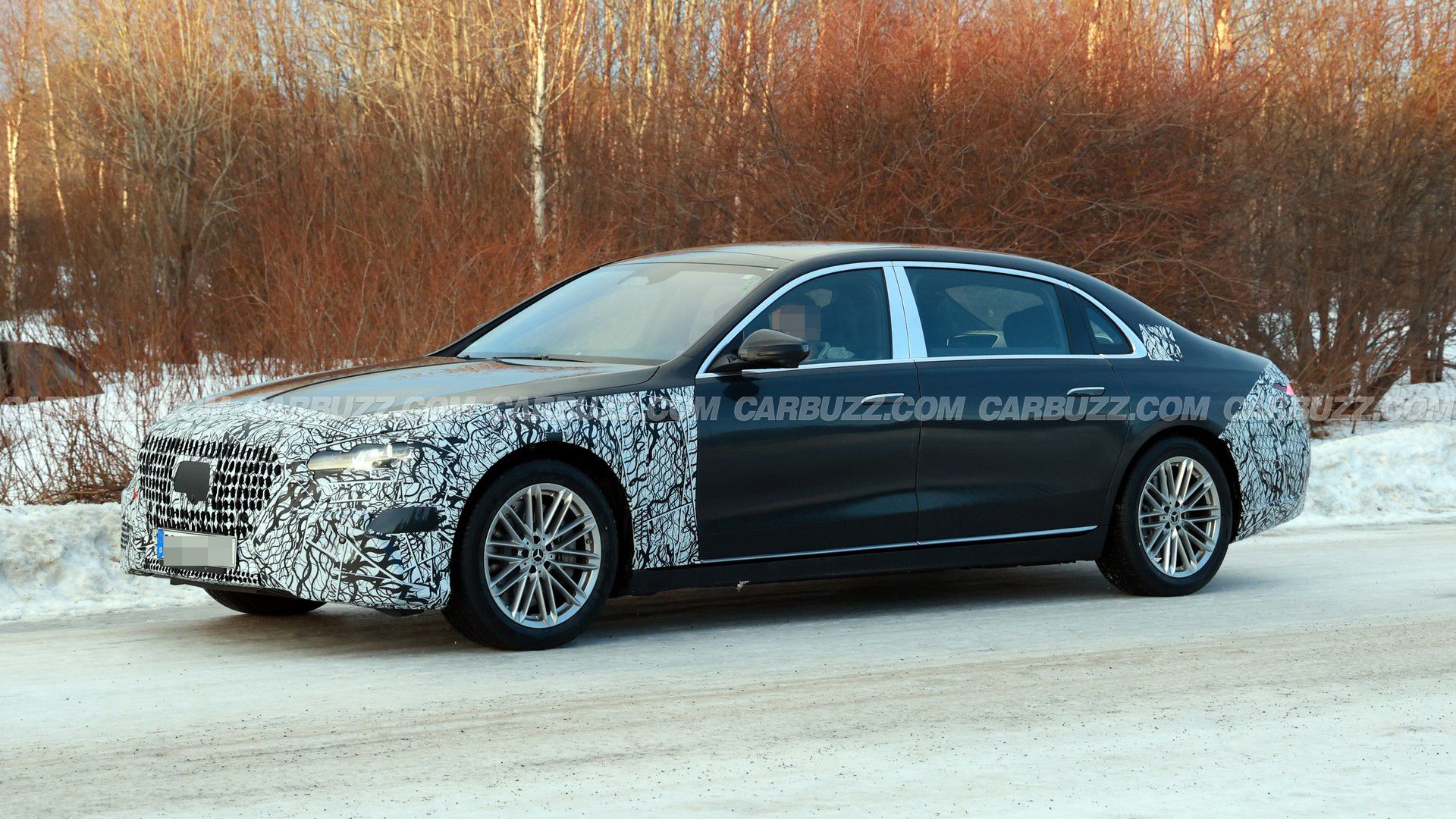 2026 Mercedes-Benz S-Class Maybach (19)