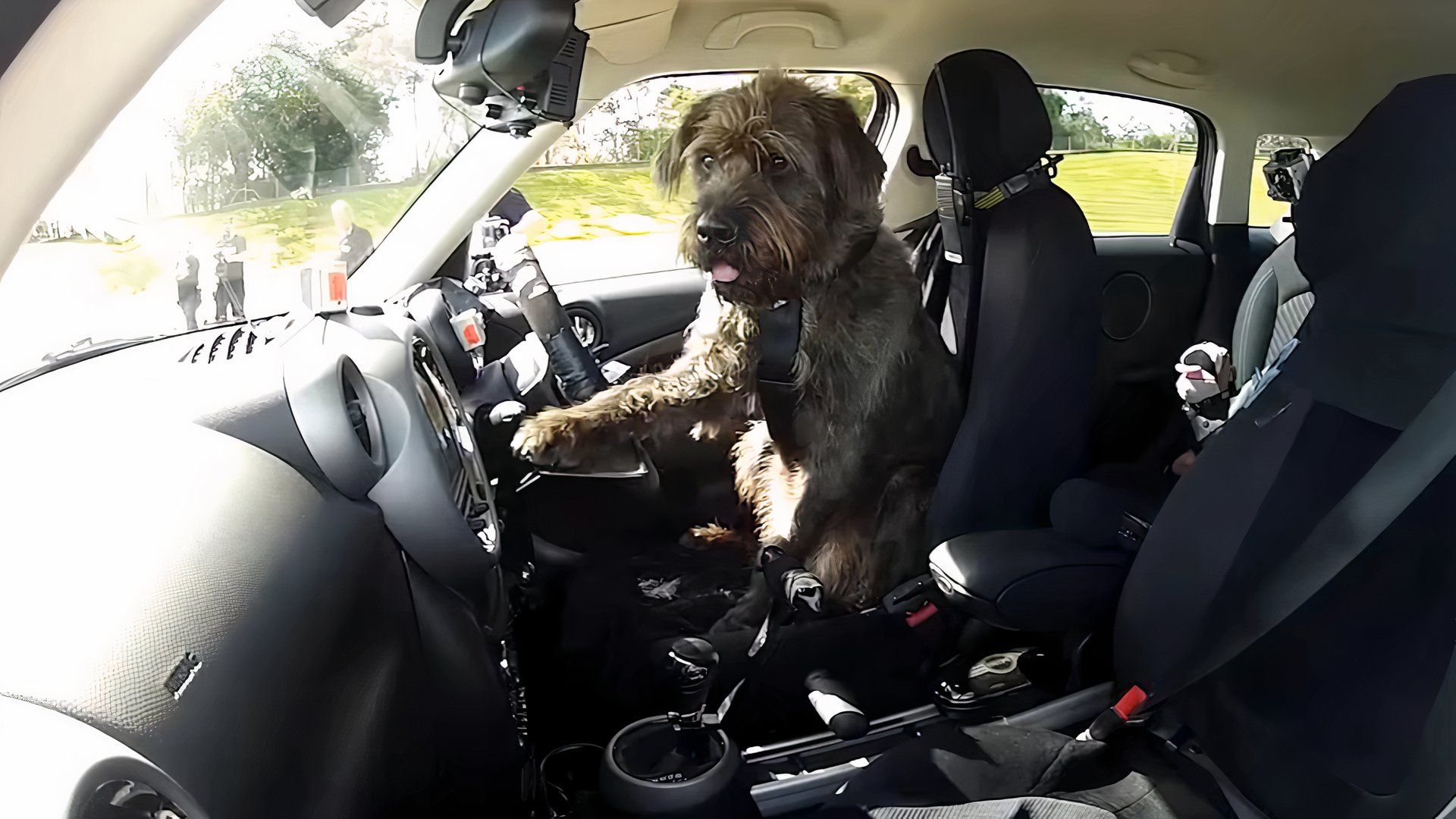 The Mini Cooper That Was Never Meant For Humans