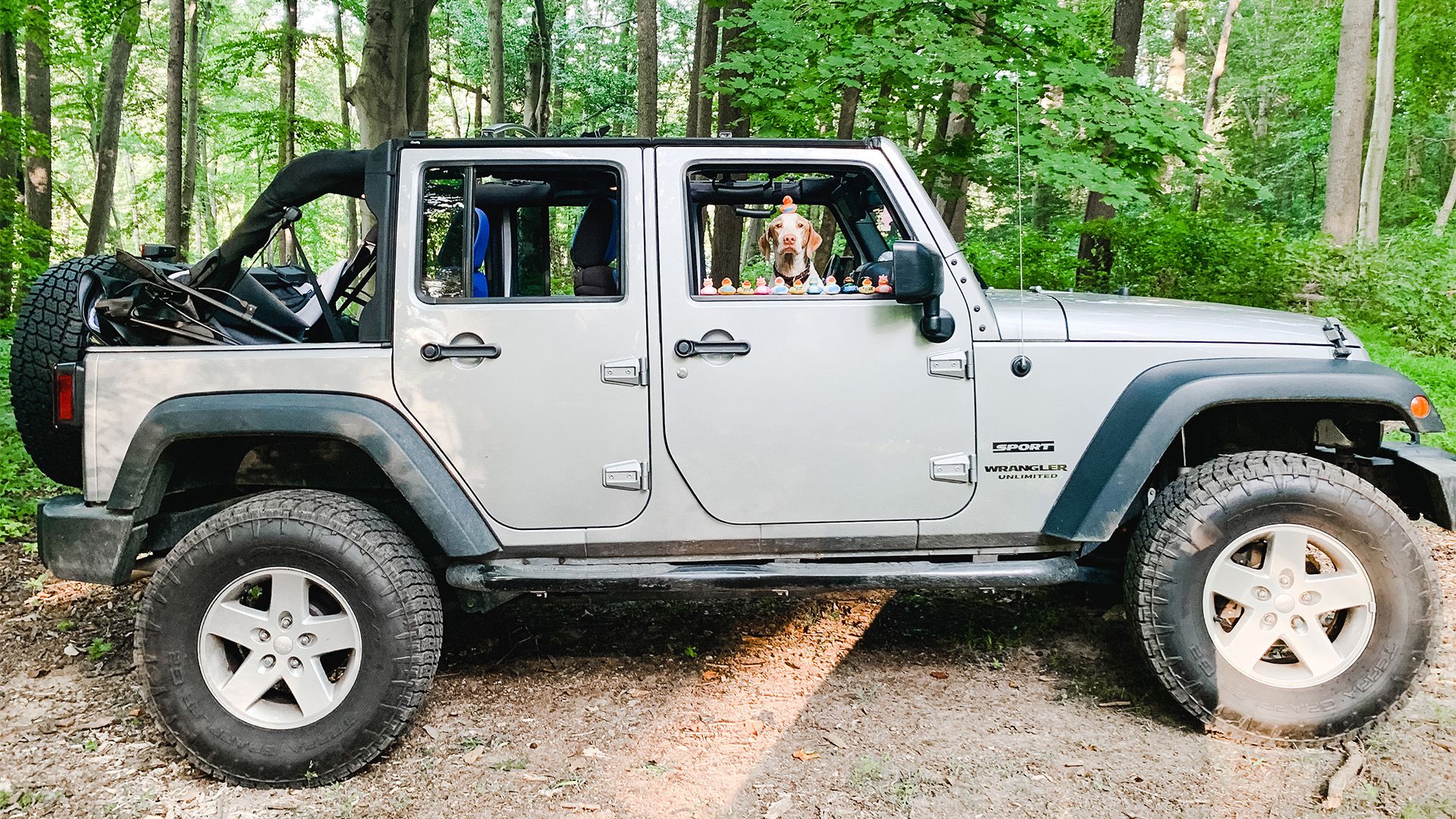 Jeep Ducks: What Is Jeep Ducking And How Did It Start?