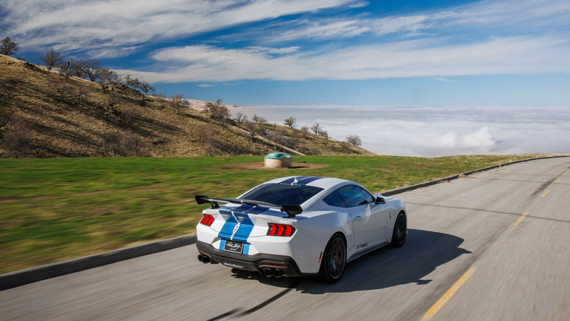 Why Ford Is Not Involved In The Making Of The New Shelby GT350