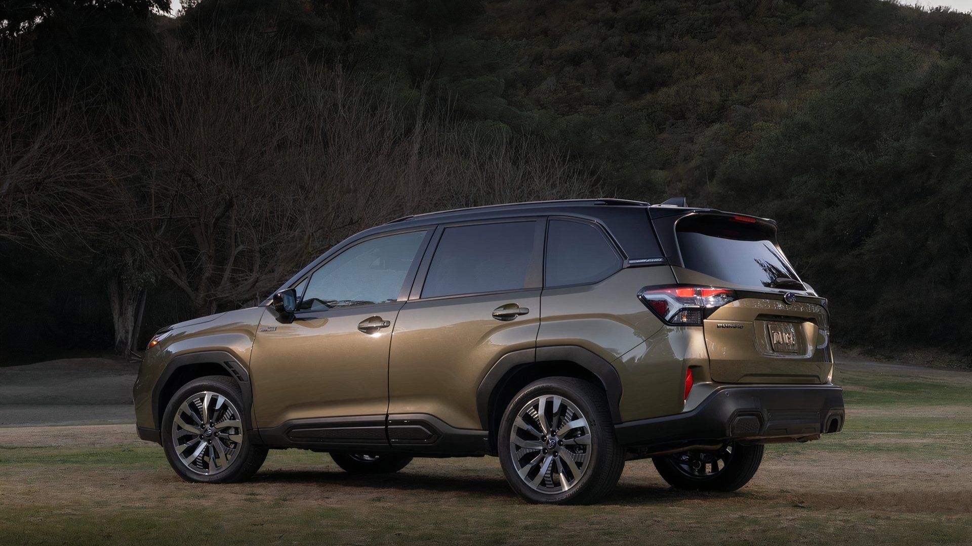 Subaru Forester Generations: Key Updates Across All Model Years