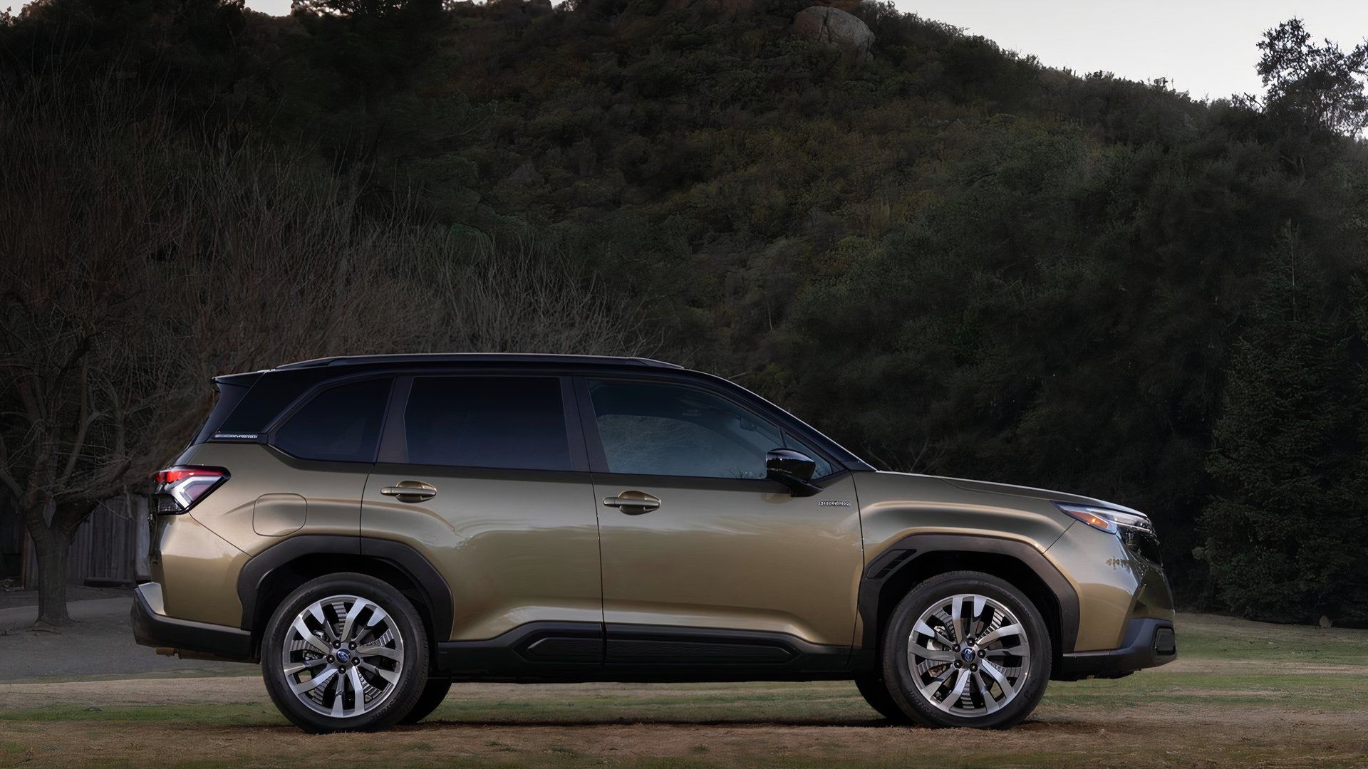 Subaru Forester Generations: Key Updates Across All Model Years