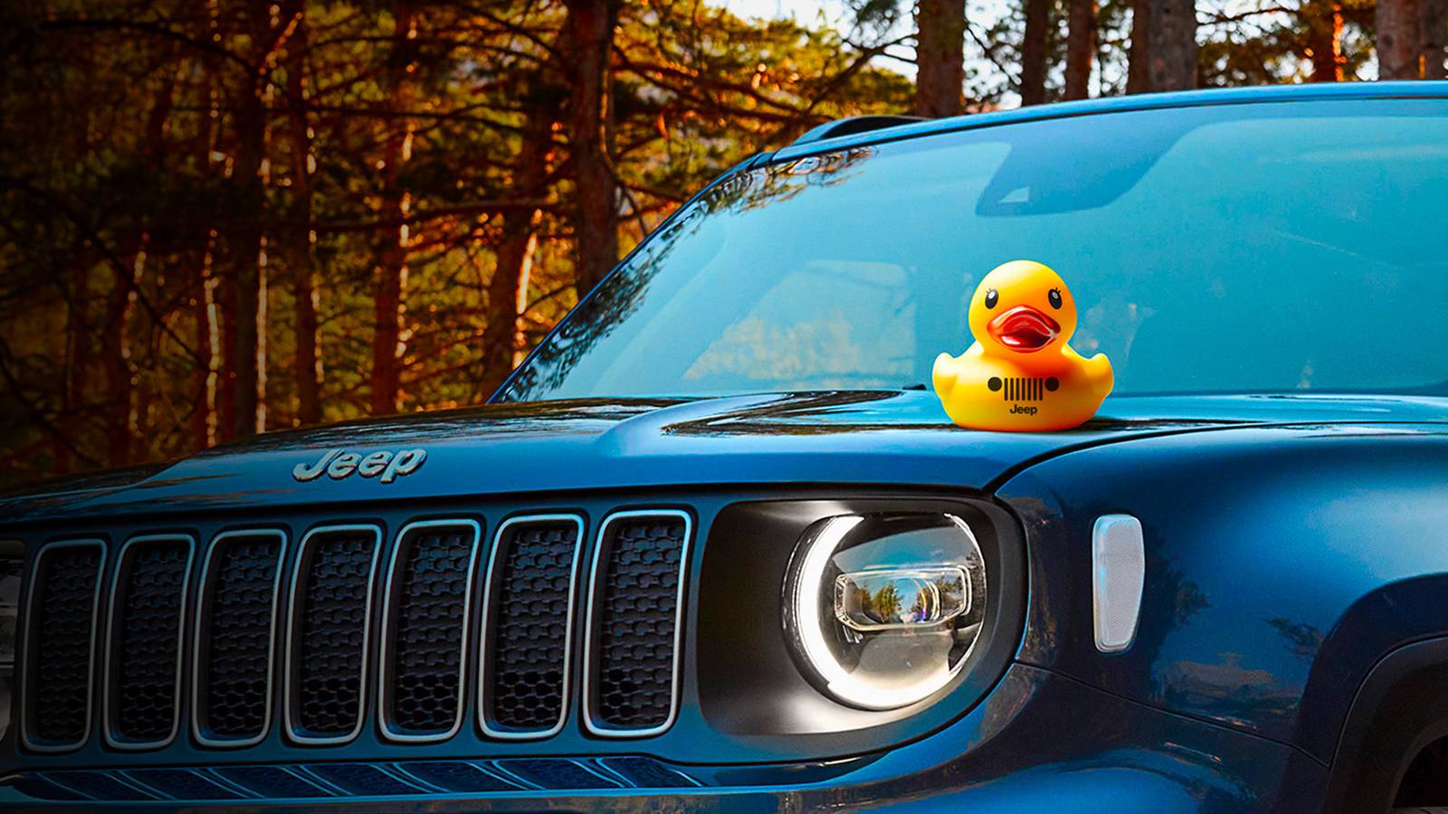 Jeep Ducks: What Is Jeep Ducking And How Did It Start?