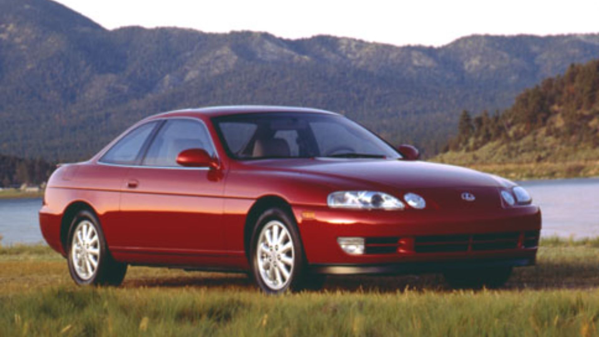 A Close Look At All Of Lexus' Performance Cars