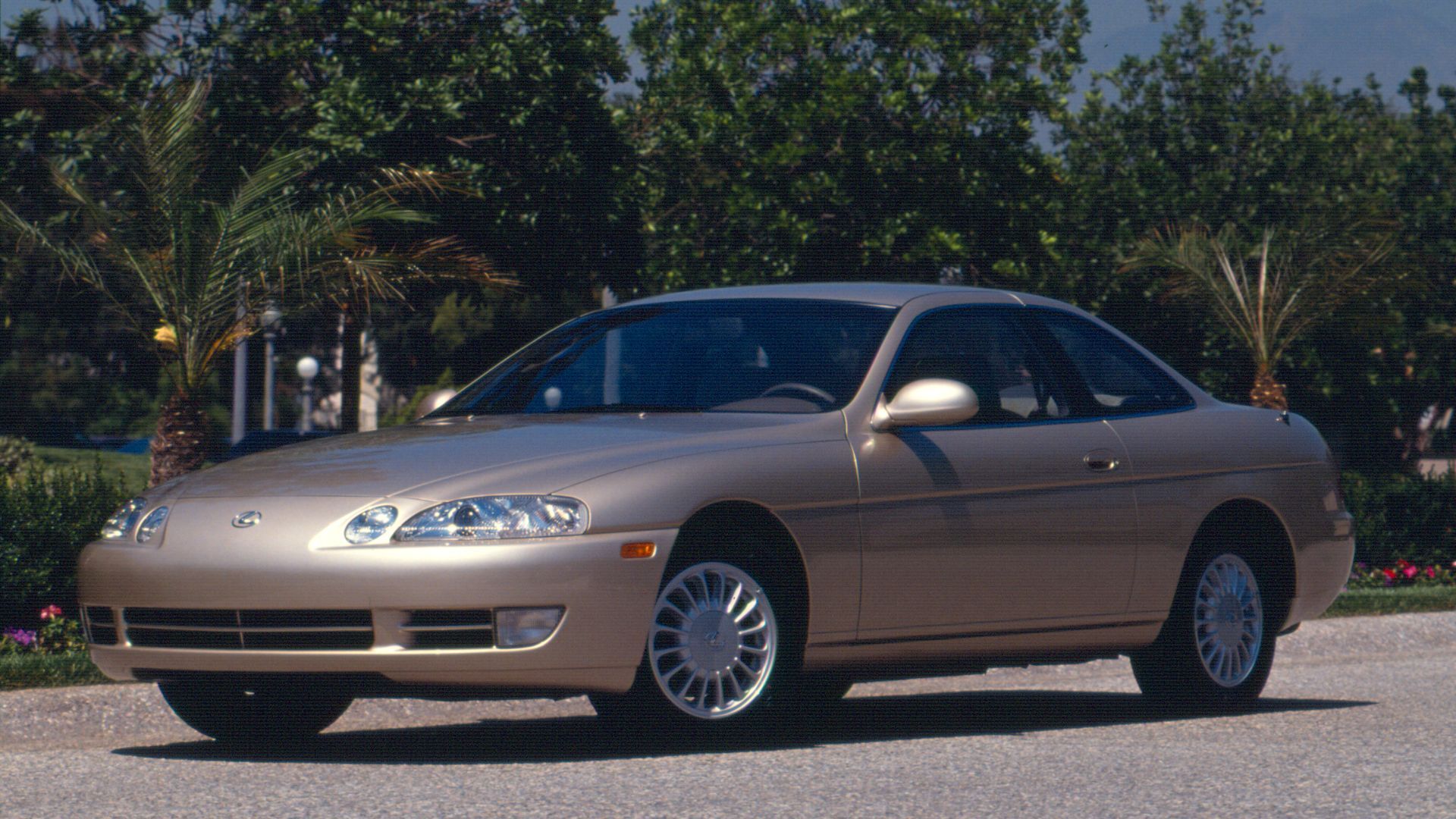 A Close Look At All Of Lexus' Performance Cars