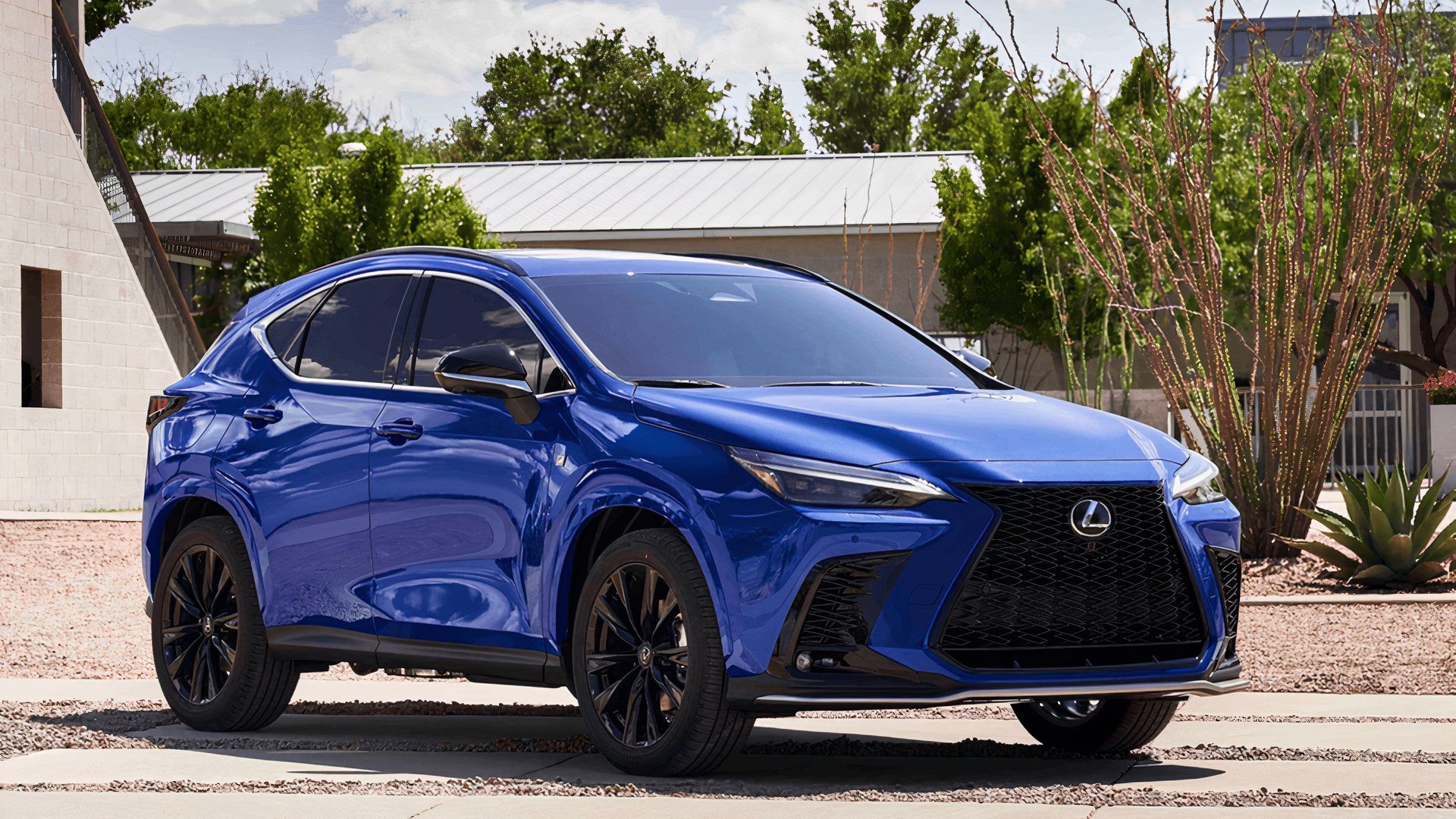 Lexus Compact SUV: NX Lineup Detailed