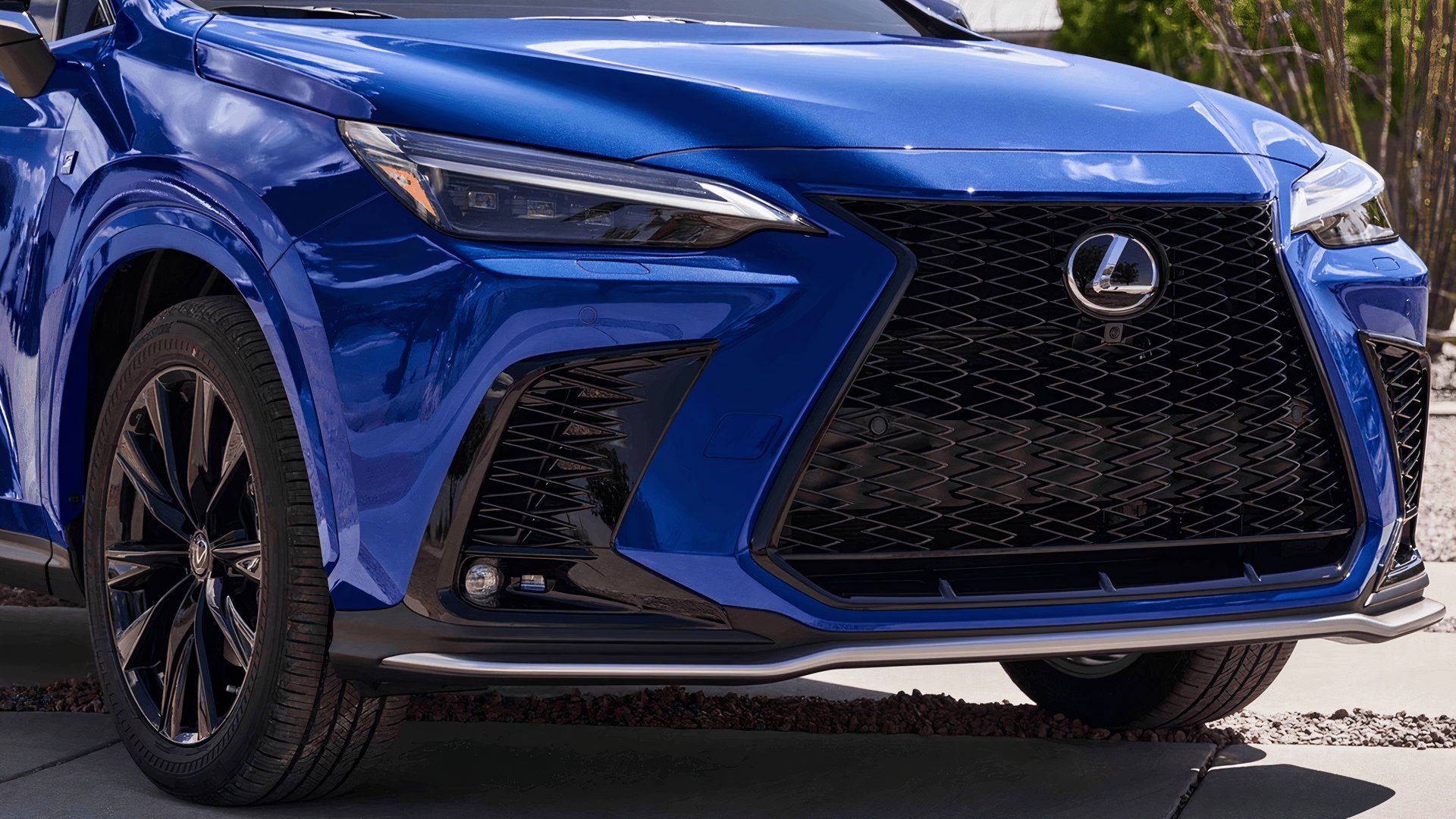 Lexus Compact SUV: NX Lineup Detailed