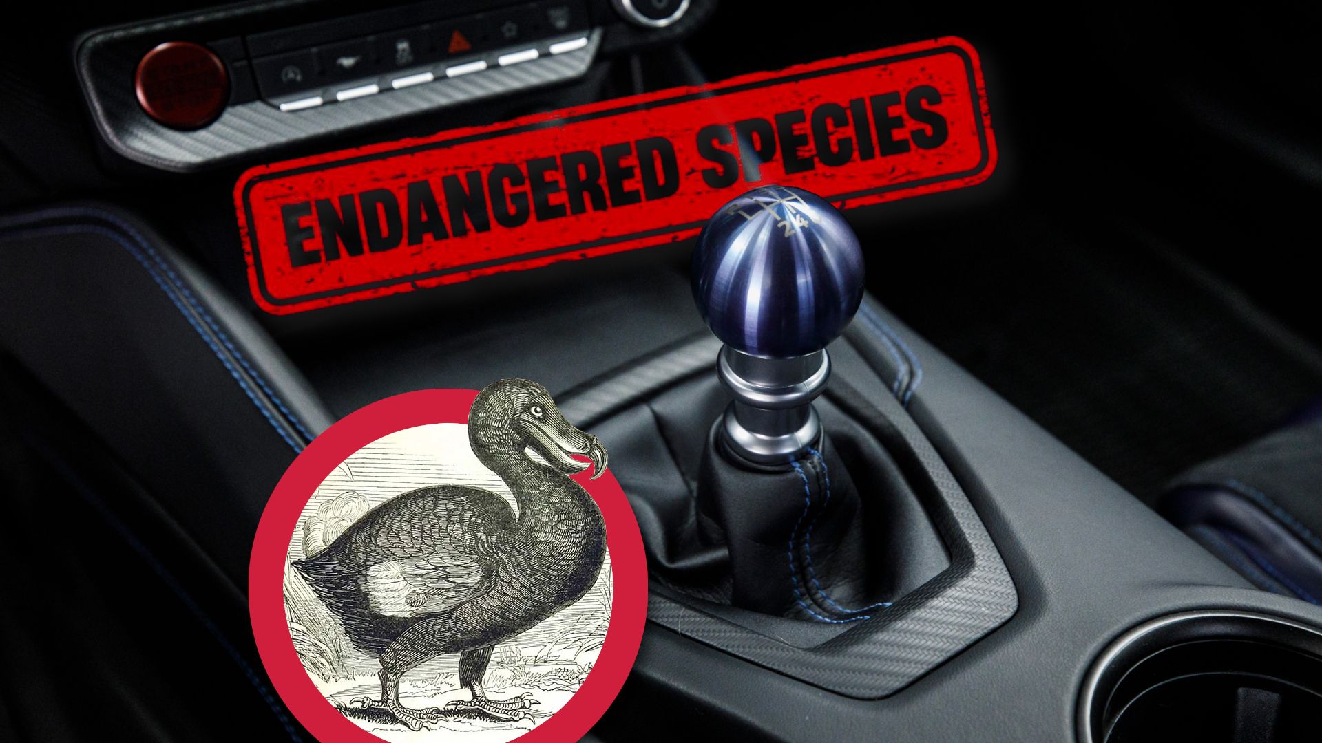 The Car Enthusiasts' Worst Manual Nightmare Is Completely Overhyped